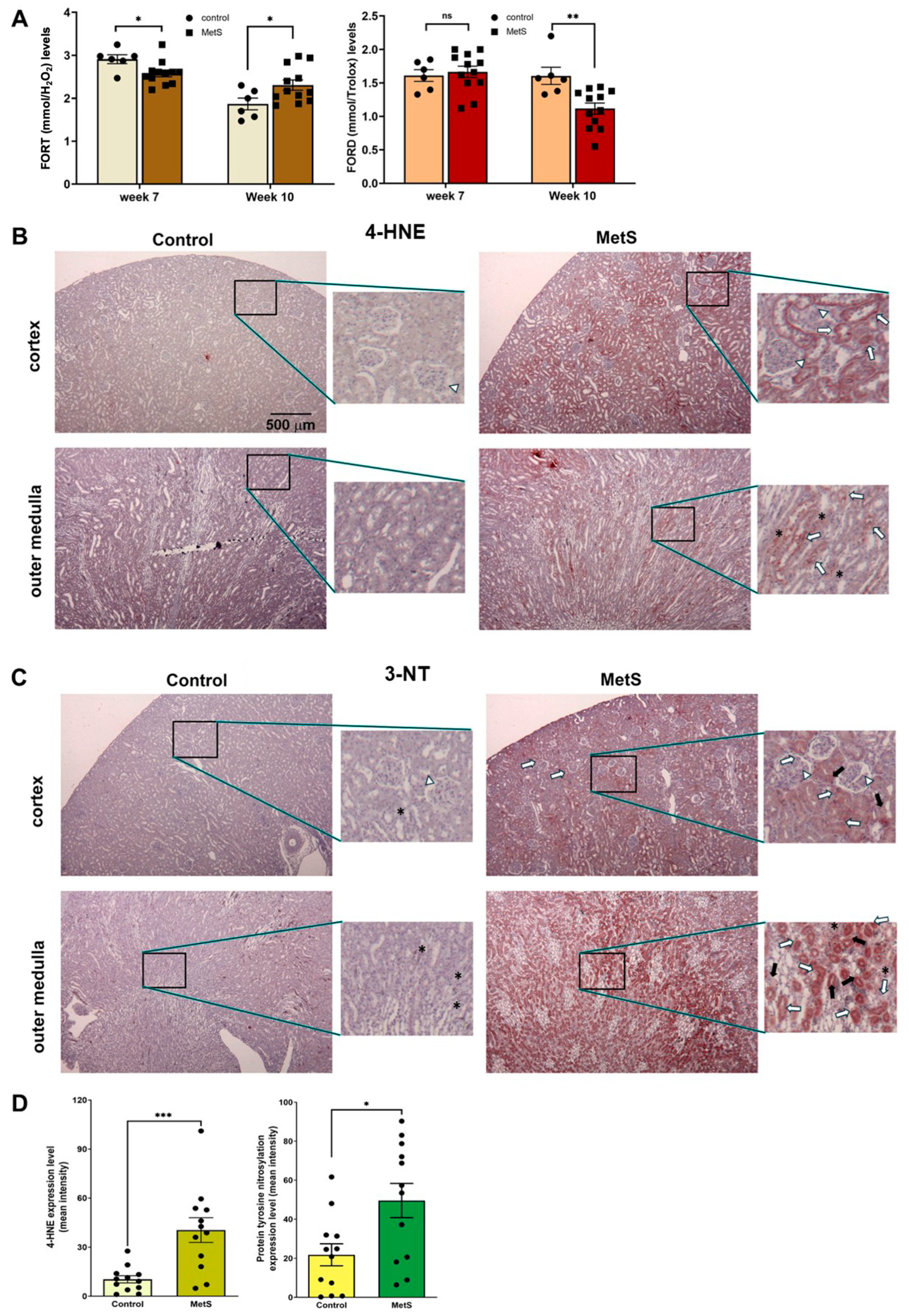Antioxidants 14 00746 g006
