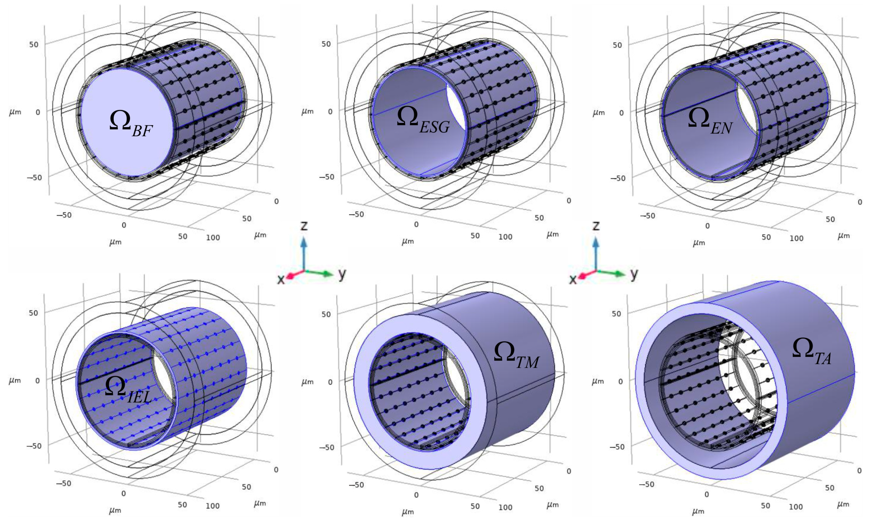 Antioxidants 14 00747 g002