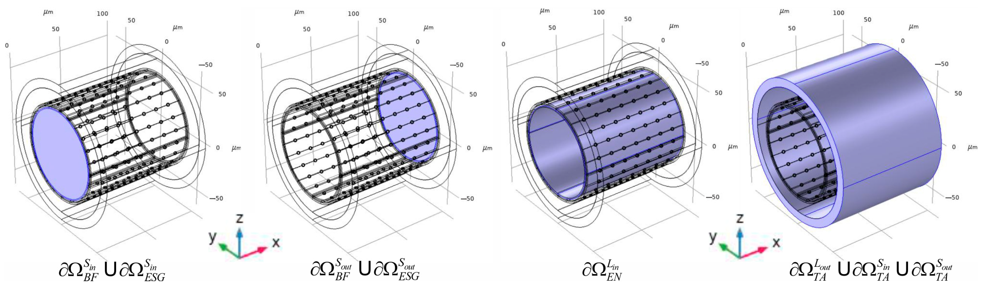 Antioxidants 14 00747 g005
