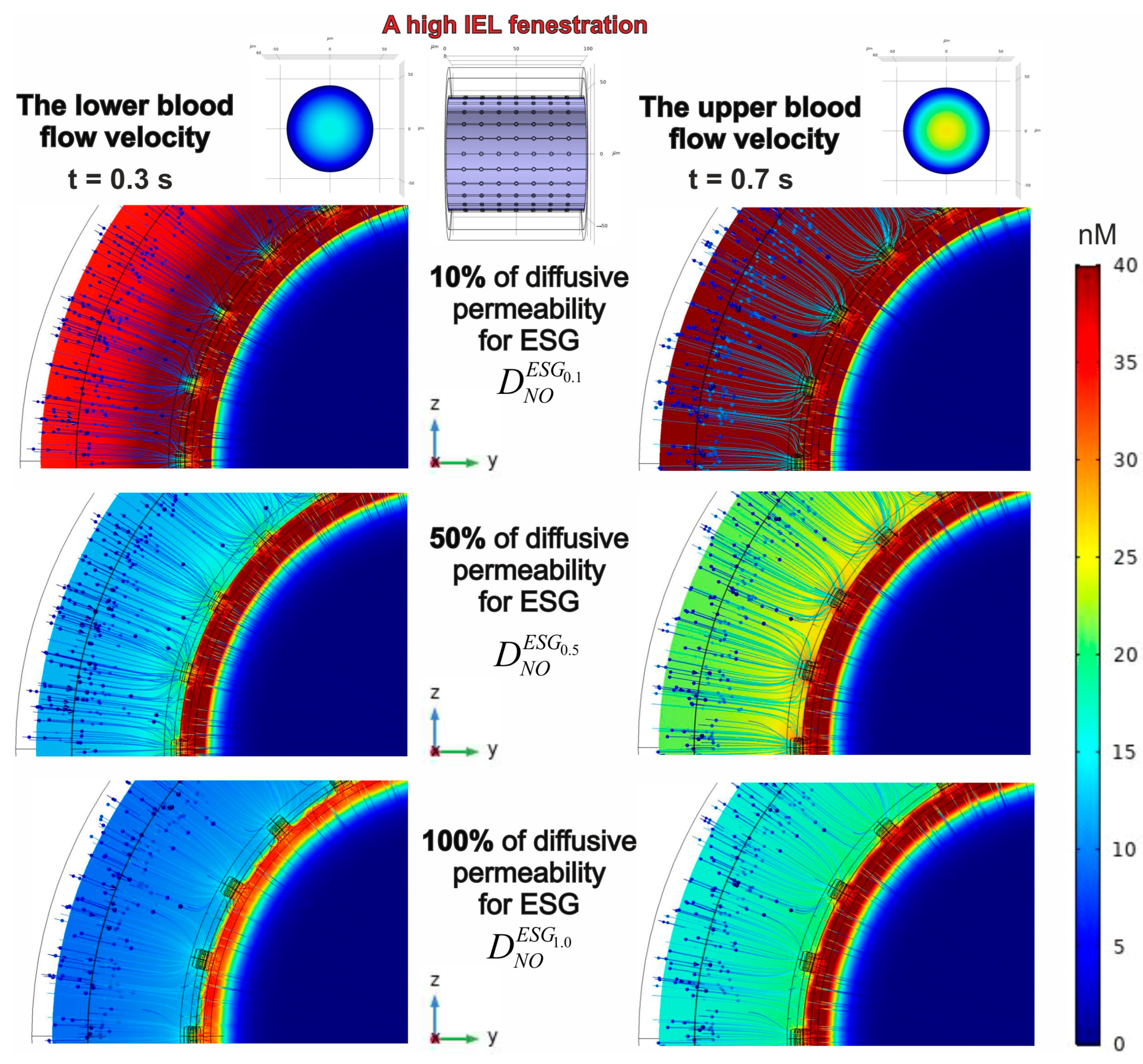 Antioxidants 14 00747 g010