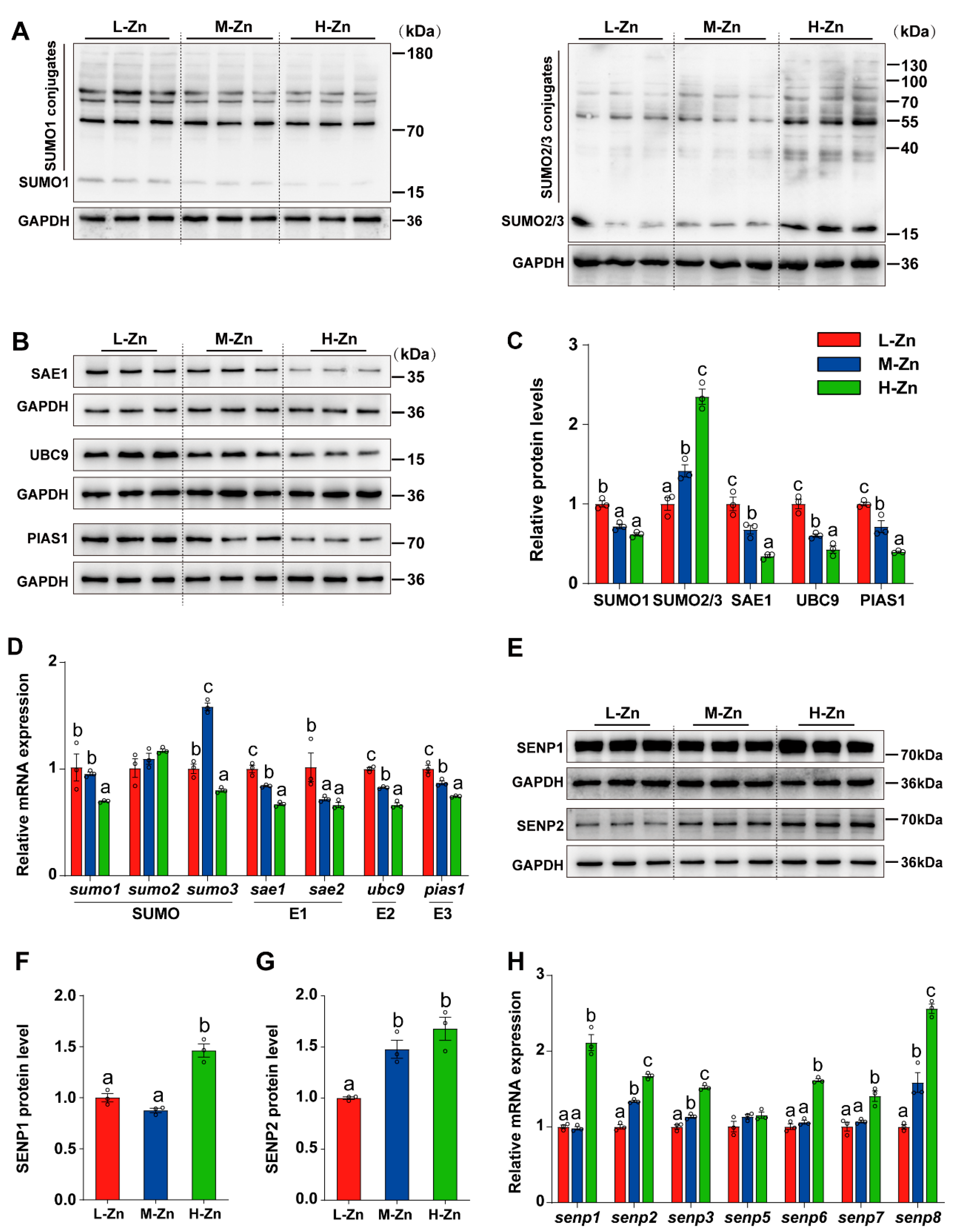 Antioxidants 14 00750 g003