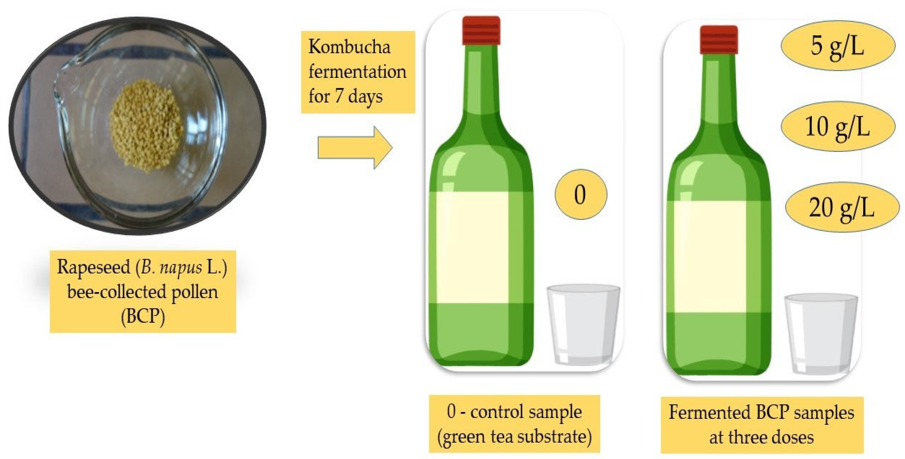 Antioxidants 14 00752 g001