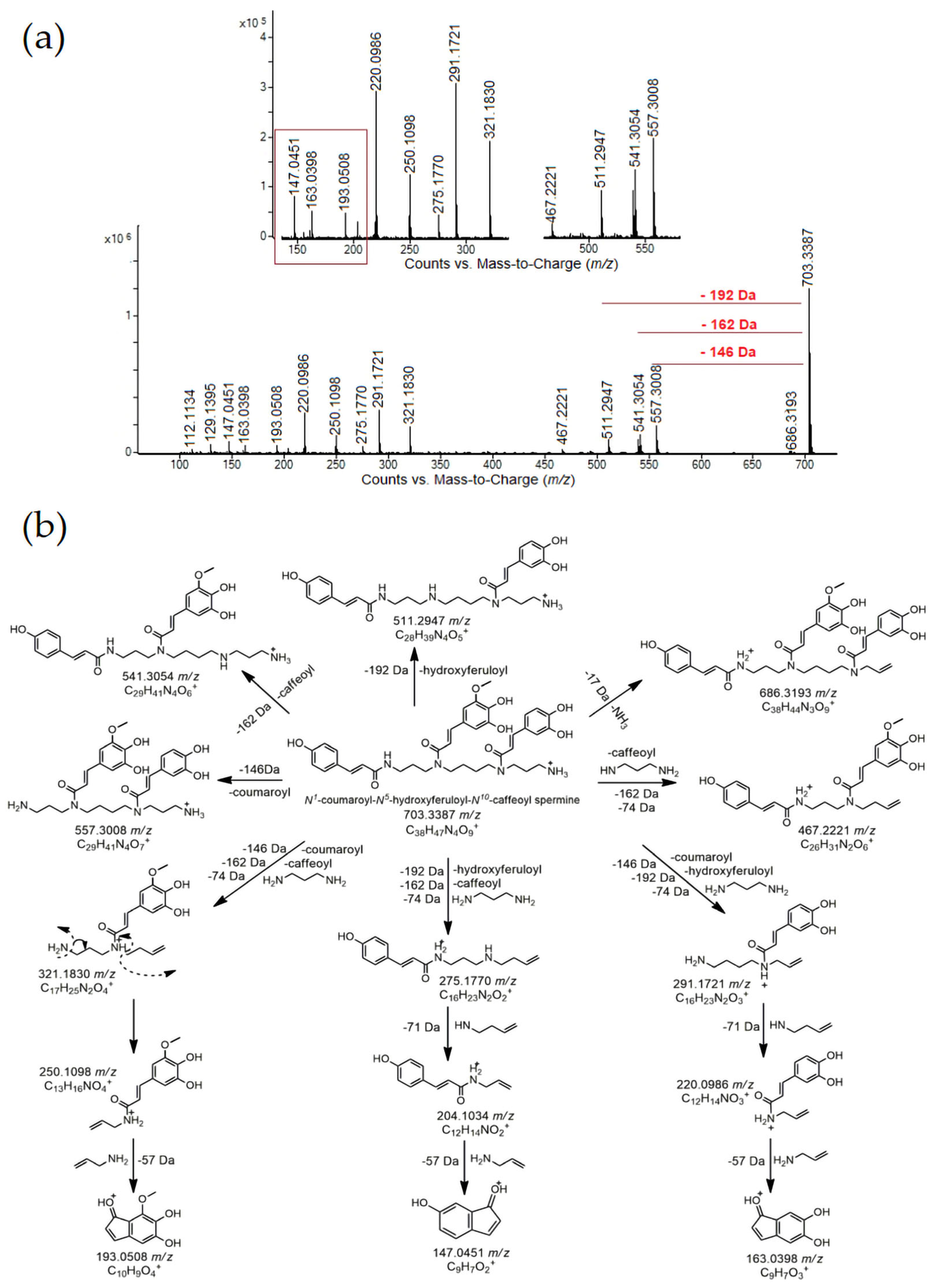 Antioxidants 14 00752 g002