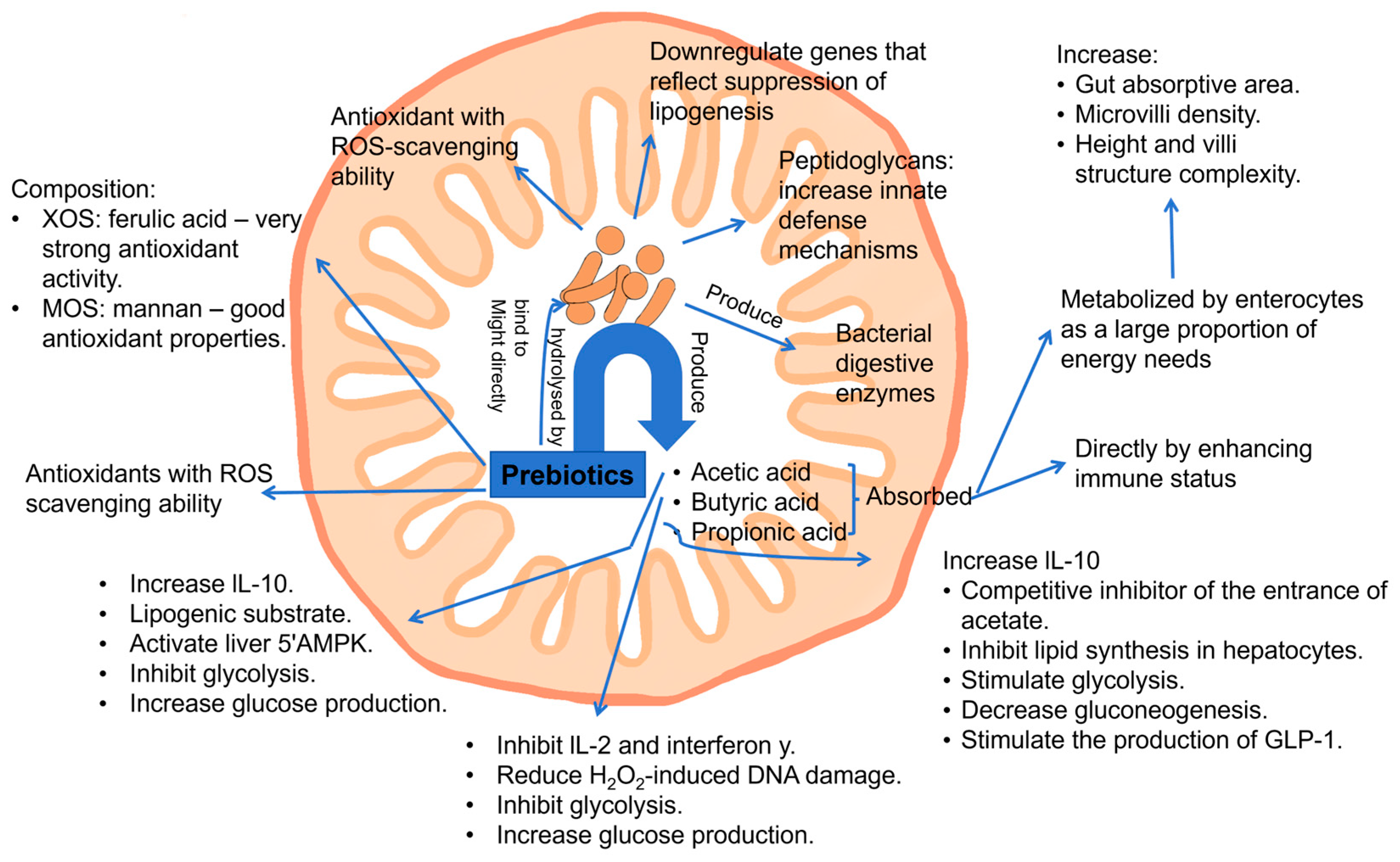 Antioxidants 14 00754 g007