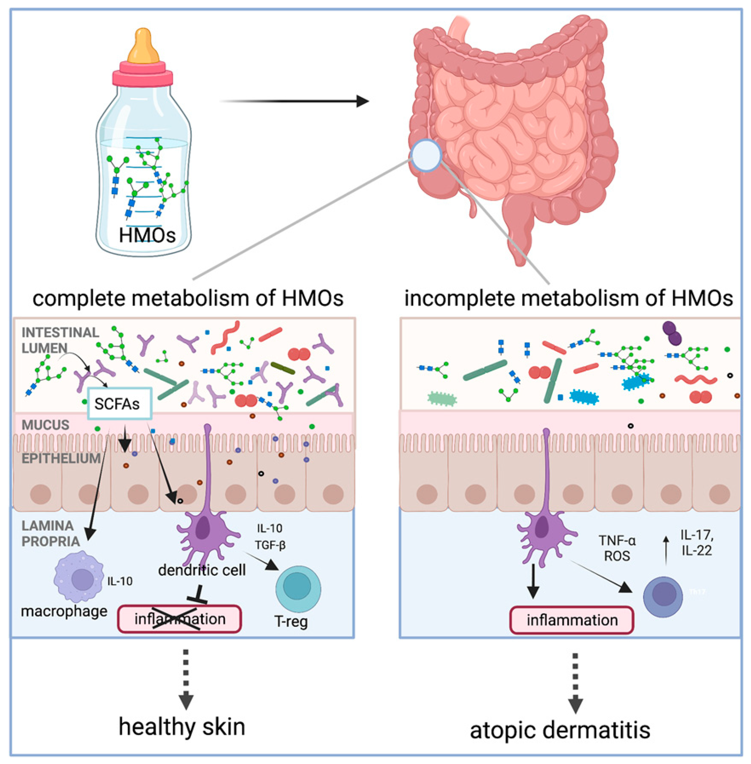 Antioxidants 14 00754 g009