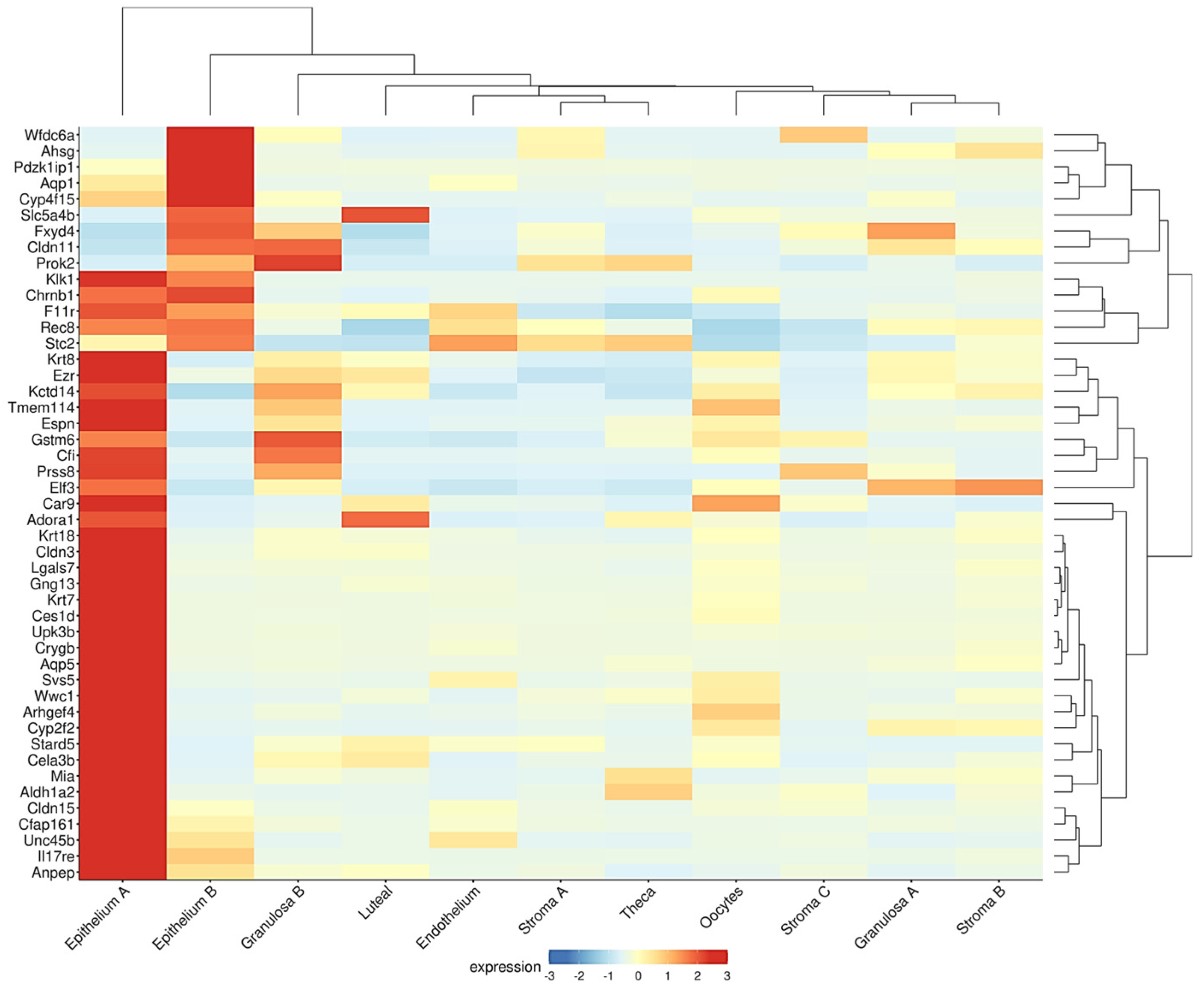 Antioxidants 14 00759 g003
