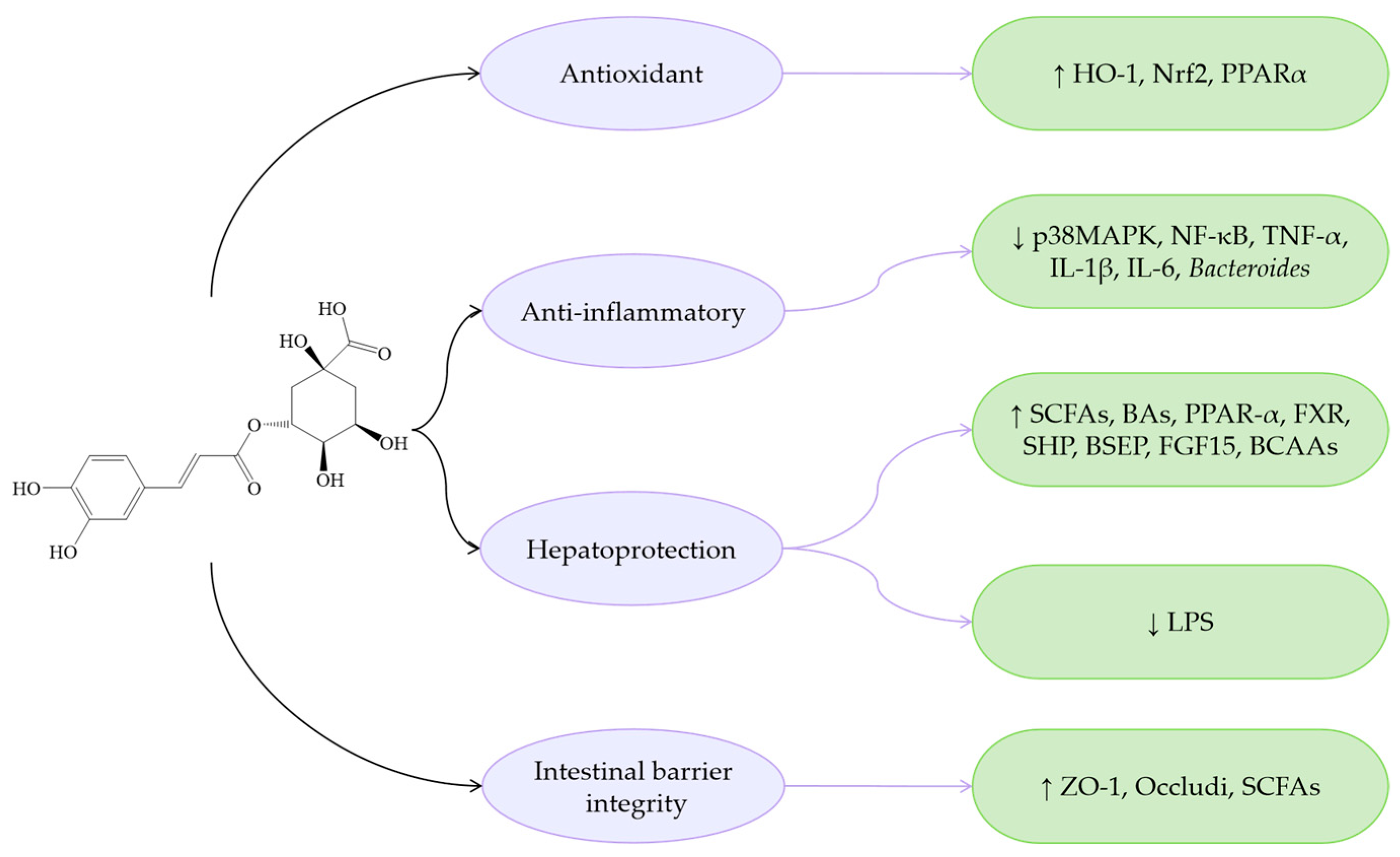 Antioxidants 14 00760 g006 Antioxidants 14 00760 g006