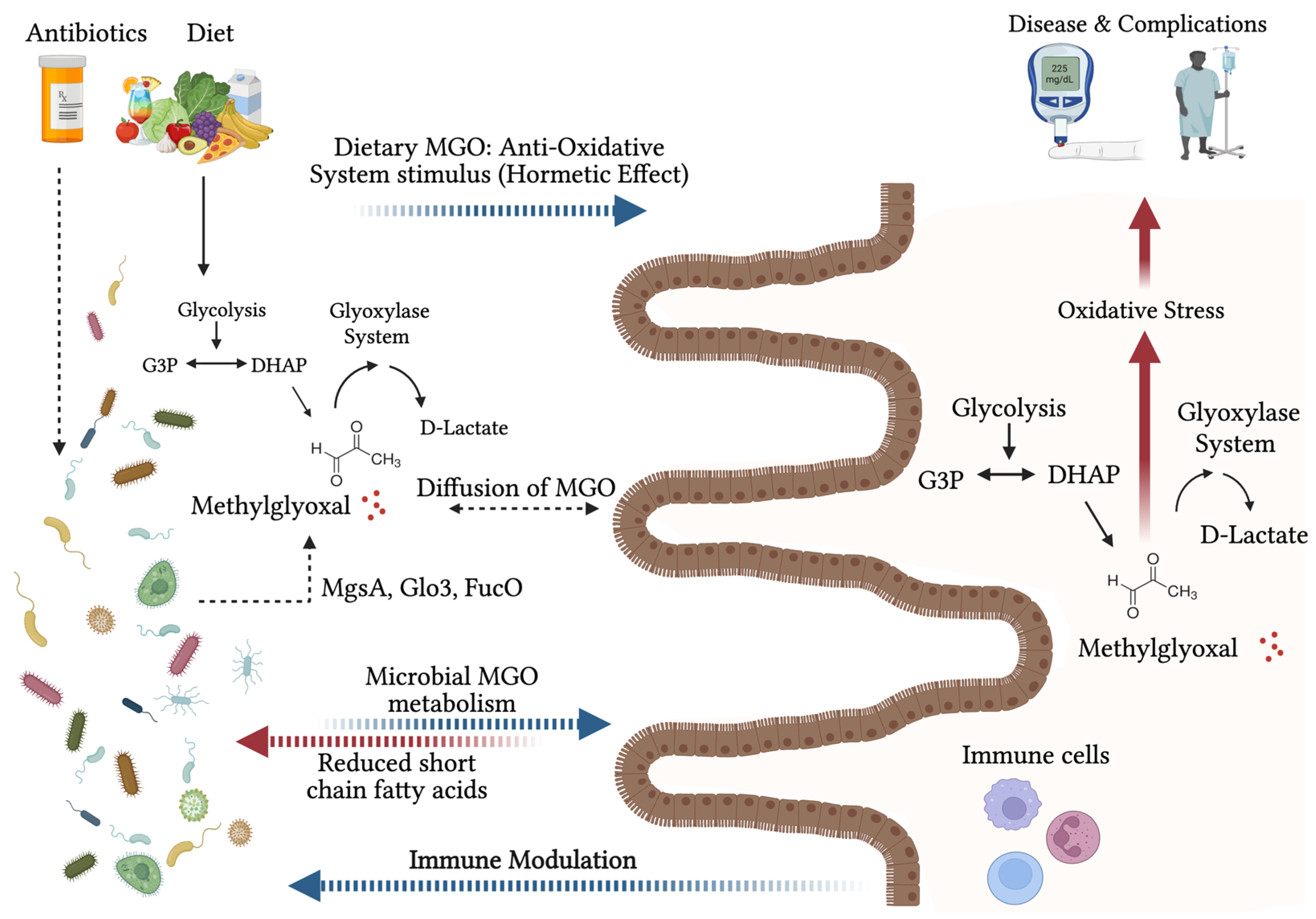 Antioxidants 14 00763 g001 Antioxidants 14 00763 g001