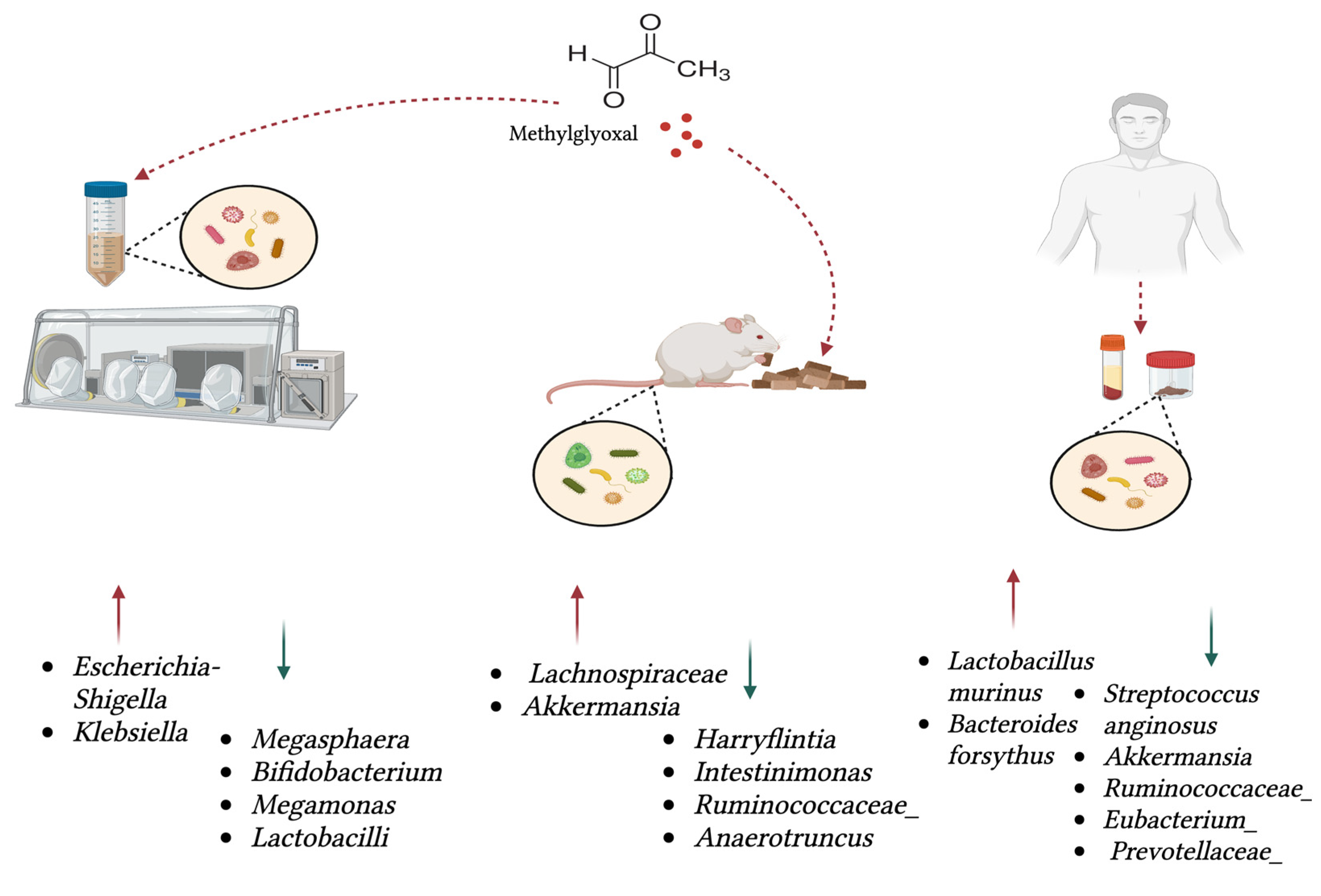 Antioxidants 14 00763 g002 Antioxidants 14 00763 g002
