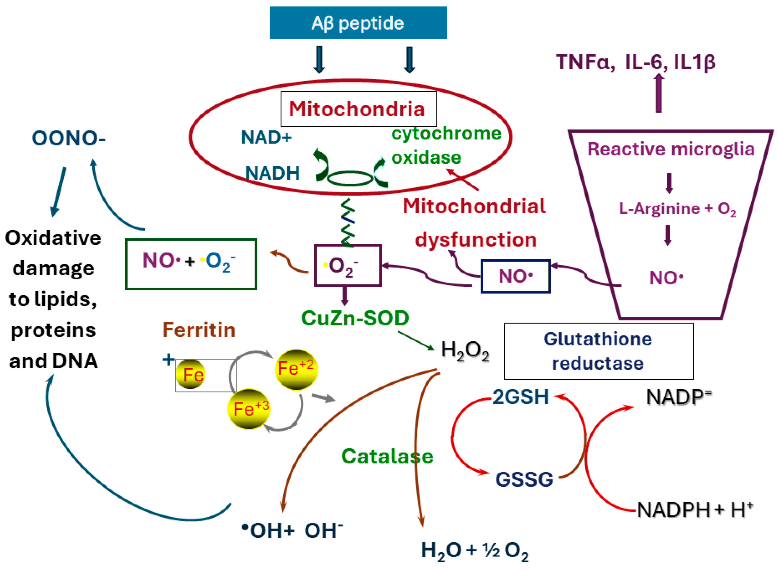 Antioxidants 14 00769 g001