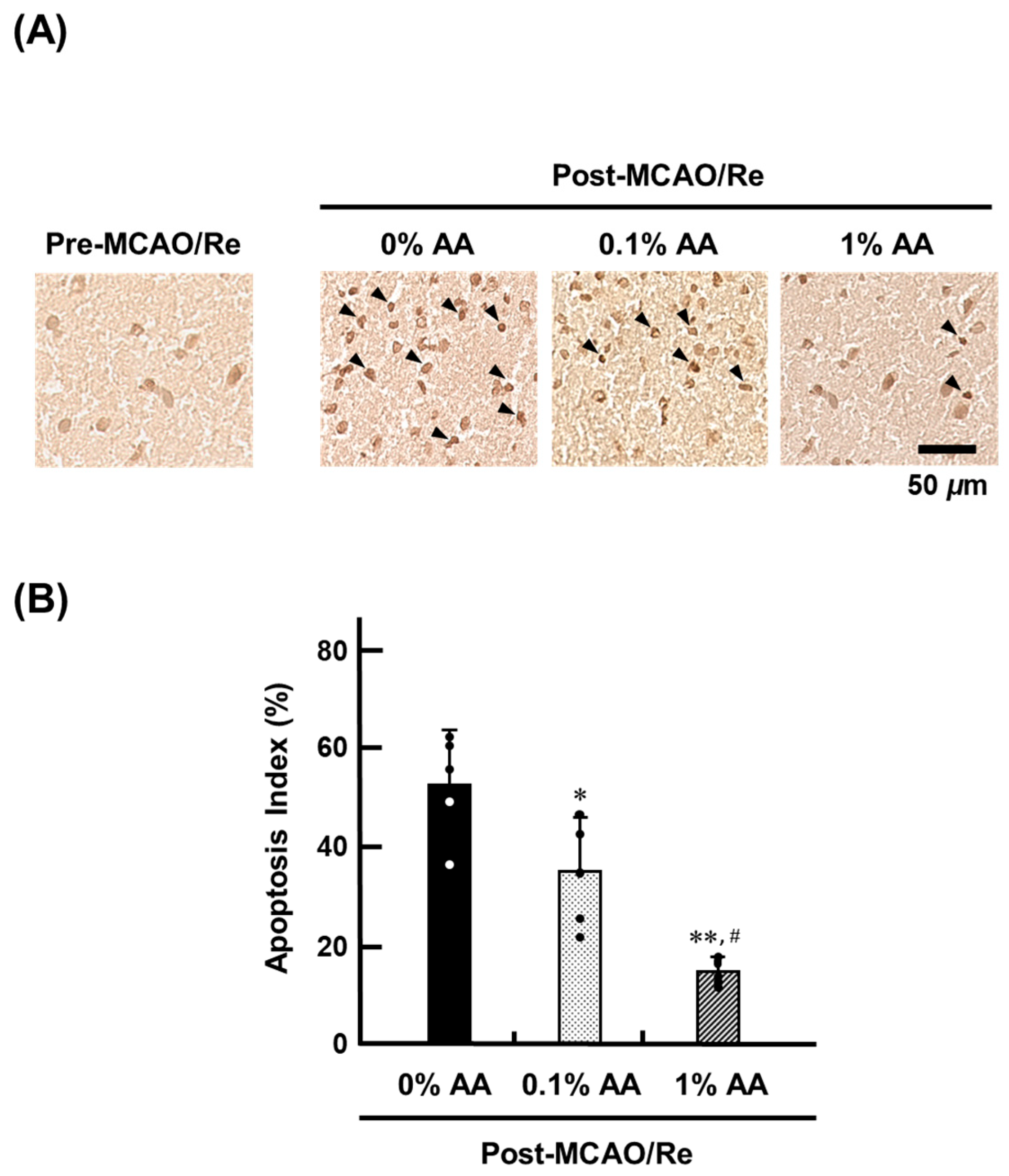 Antioxidants 14 00773 g006