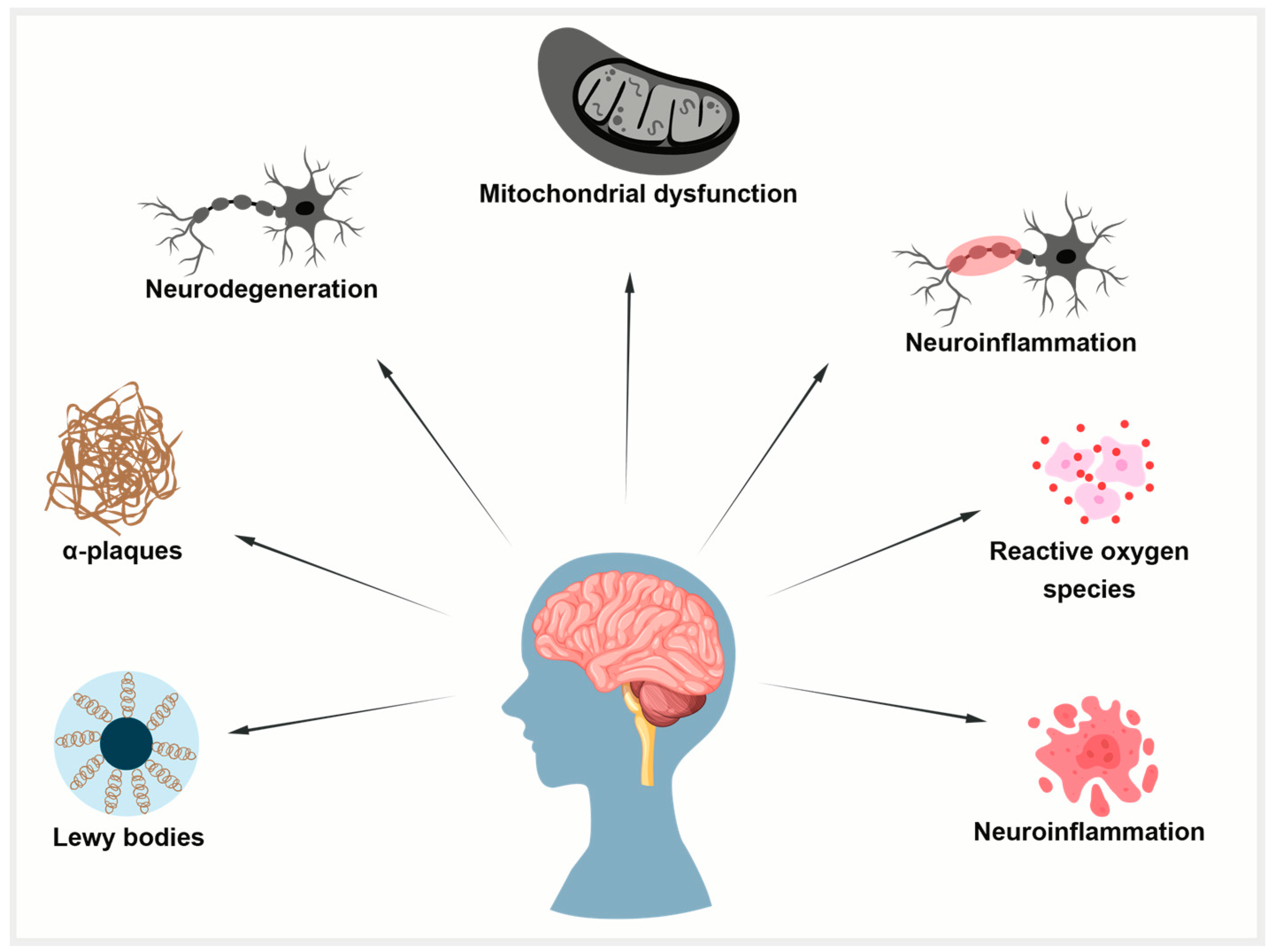 Antioxidants 14 00774 g004