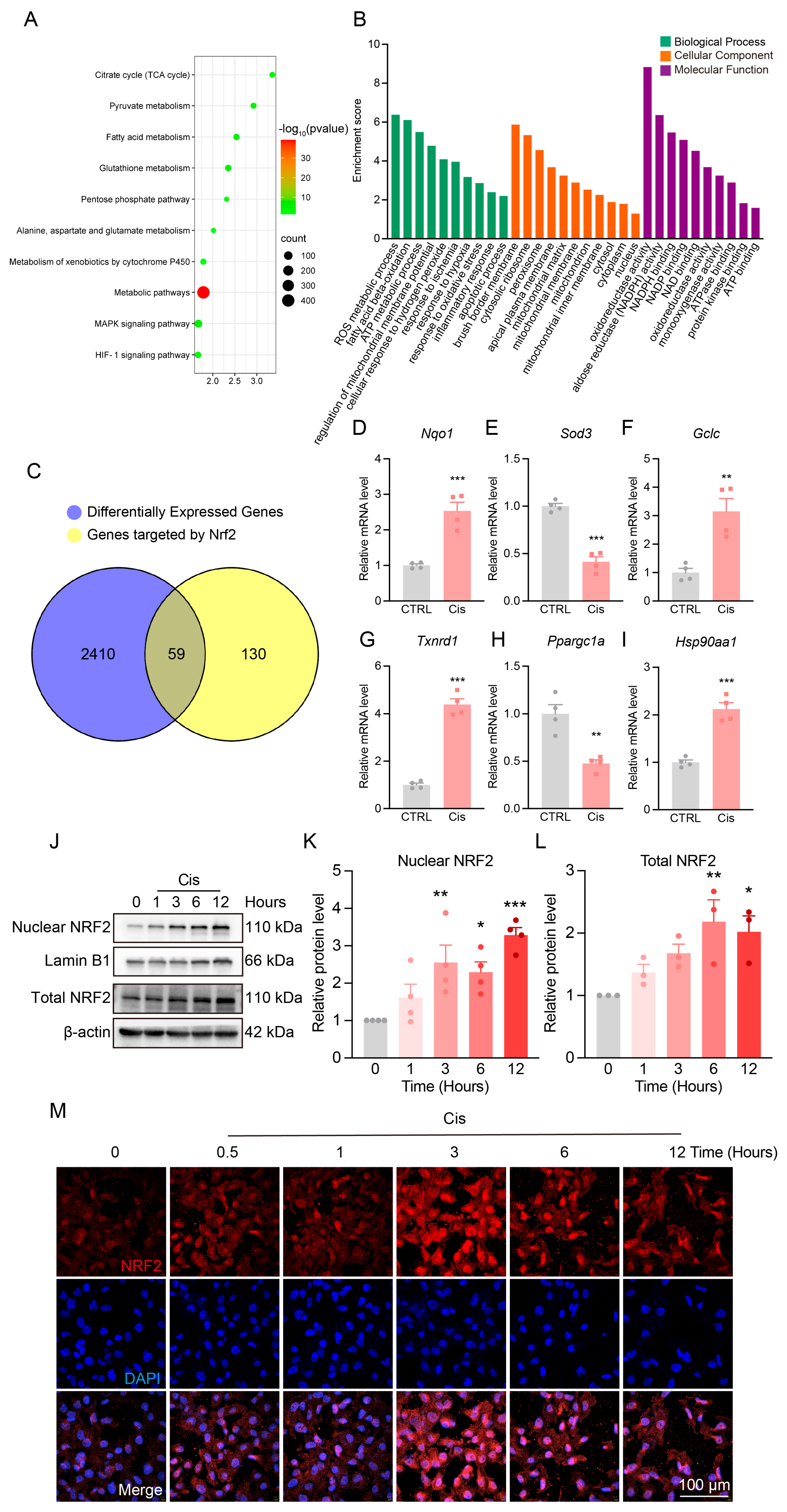 Antioxidants 14 00775 g004