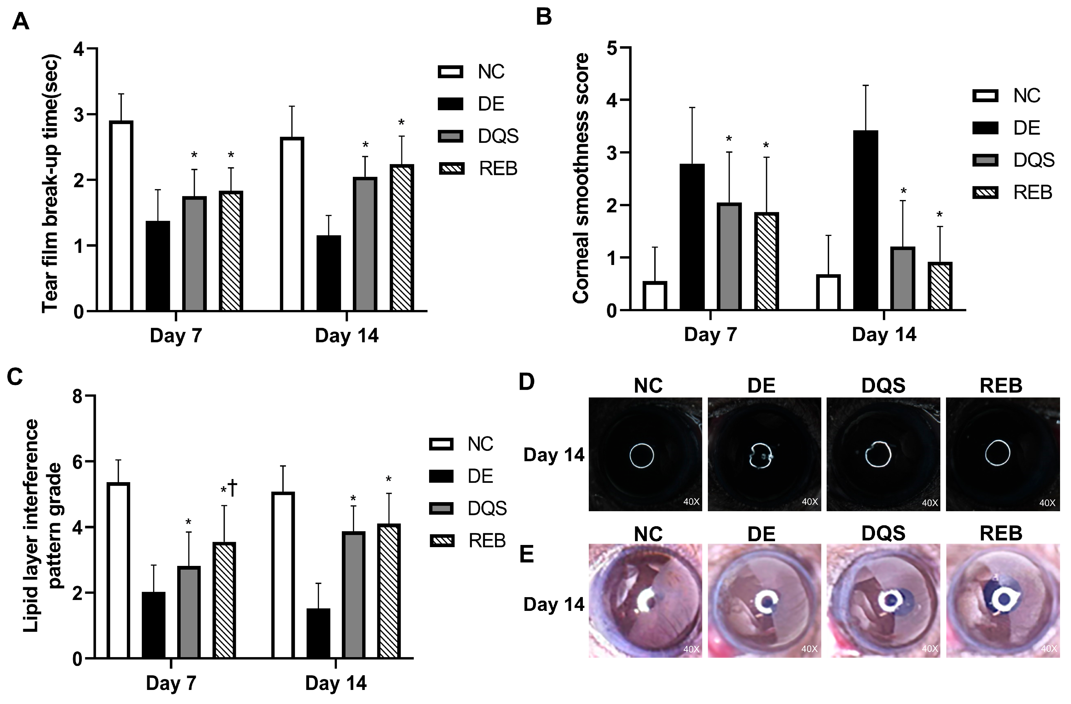 Antioxidants 14 00780 g002