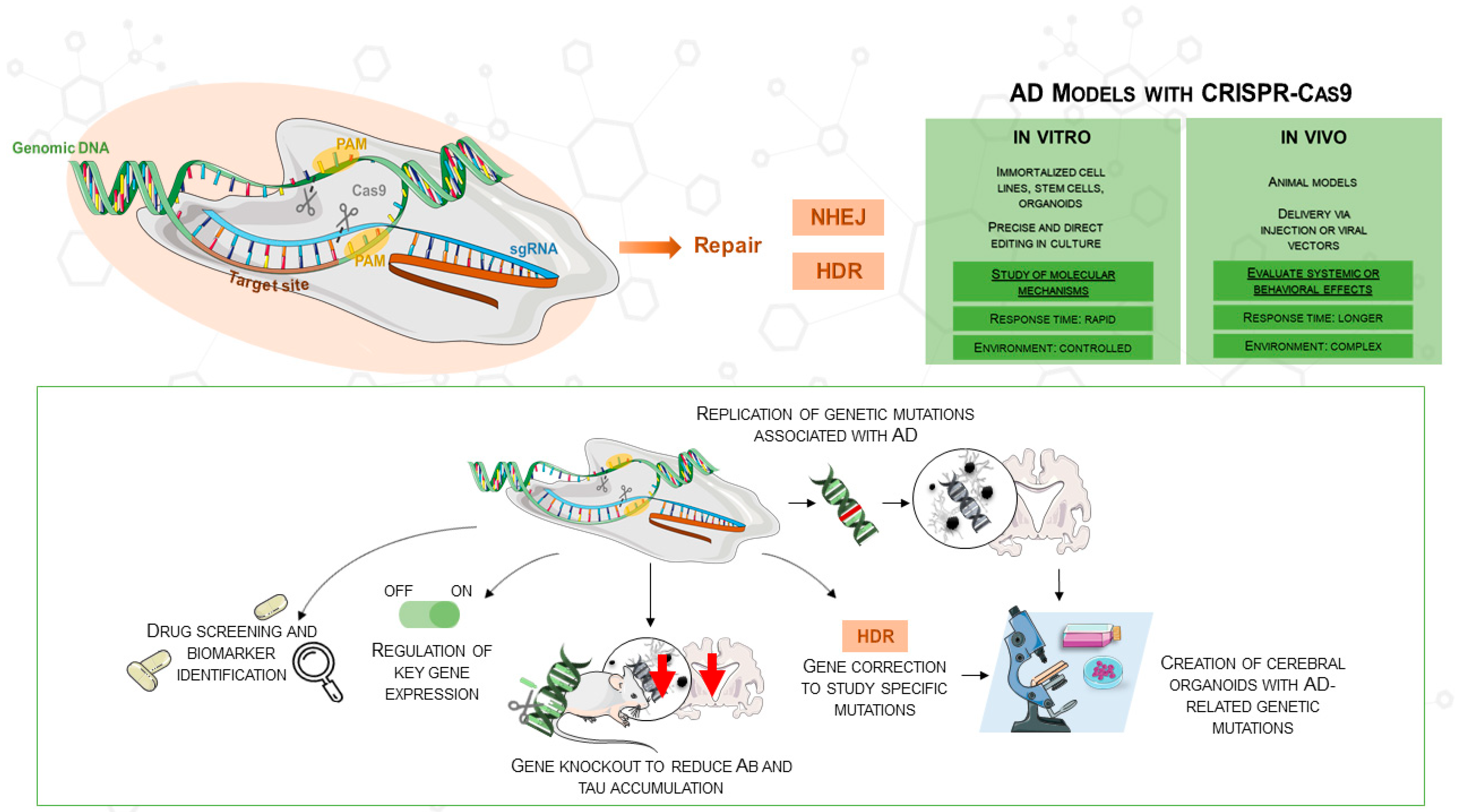 Antioxidants 14 00781 g001 Antioxidants 14 00781 g001