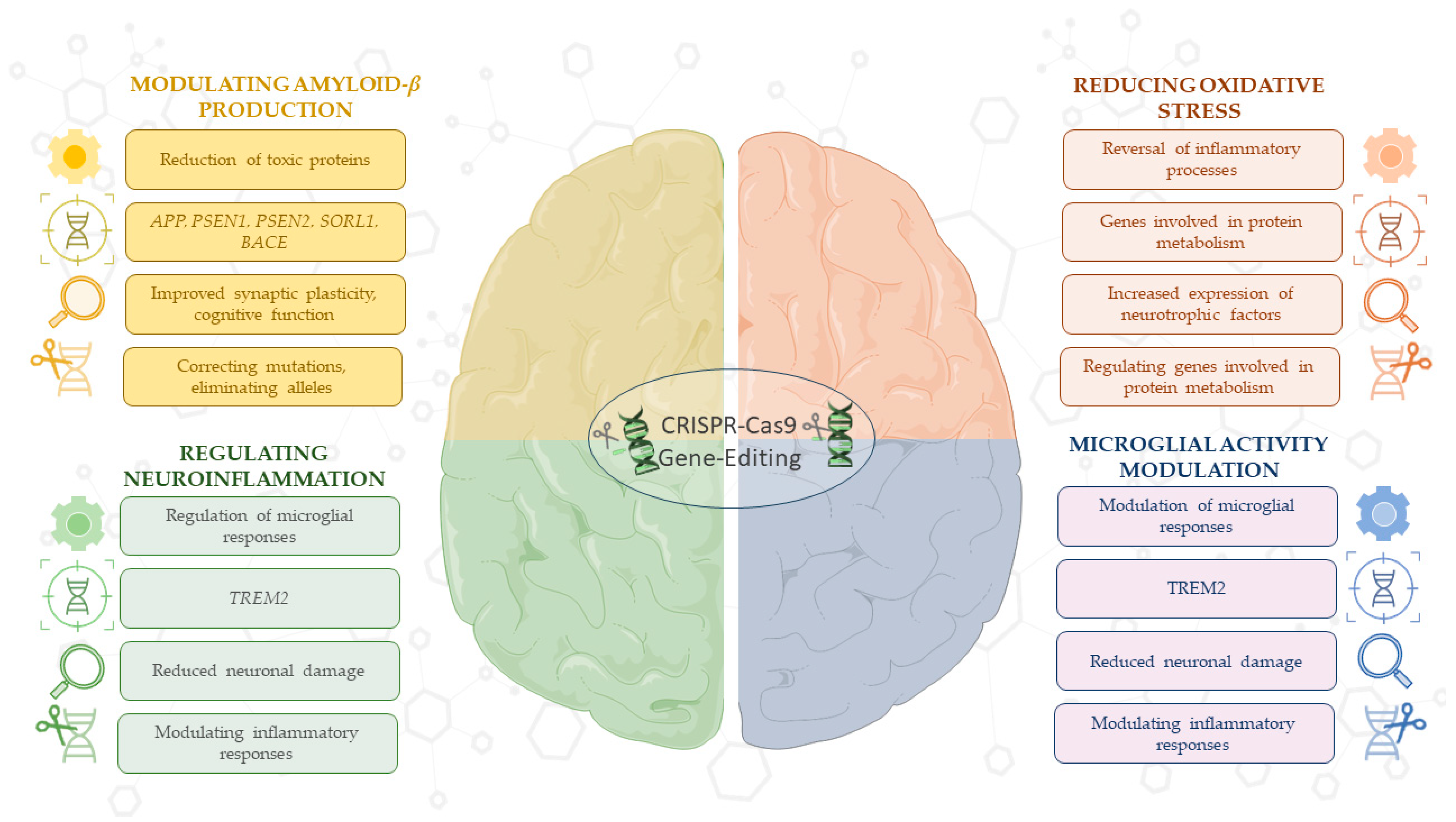 Antioxidants 14 00781 g002 Antioxidants 14 00781 g002