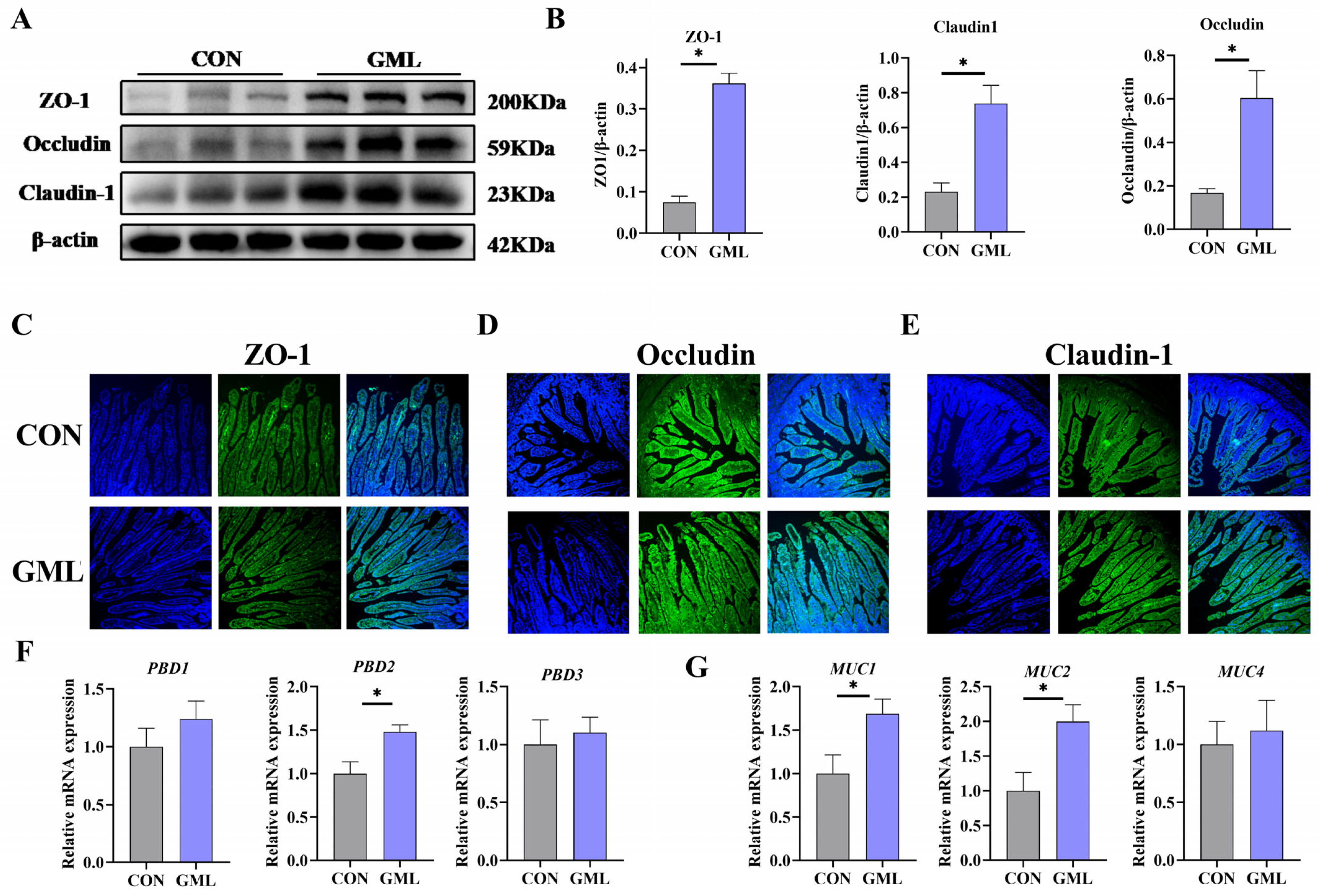 Antioxidants 14 00783 g002