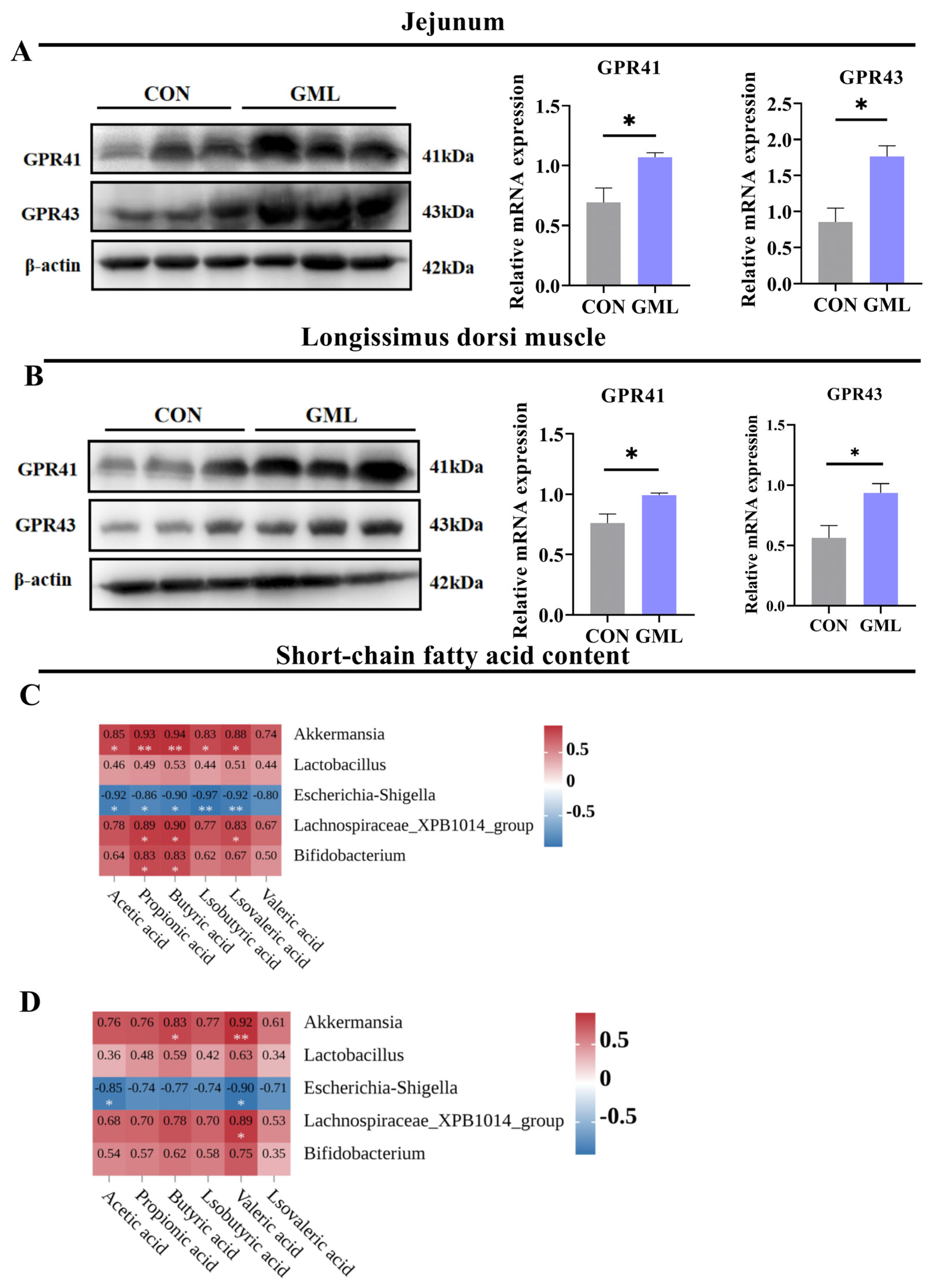 Antioxidants 14 00783 g006
