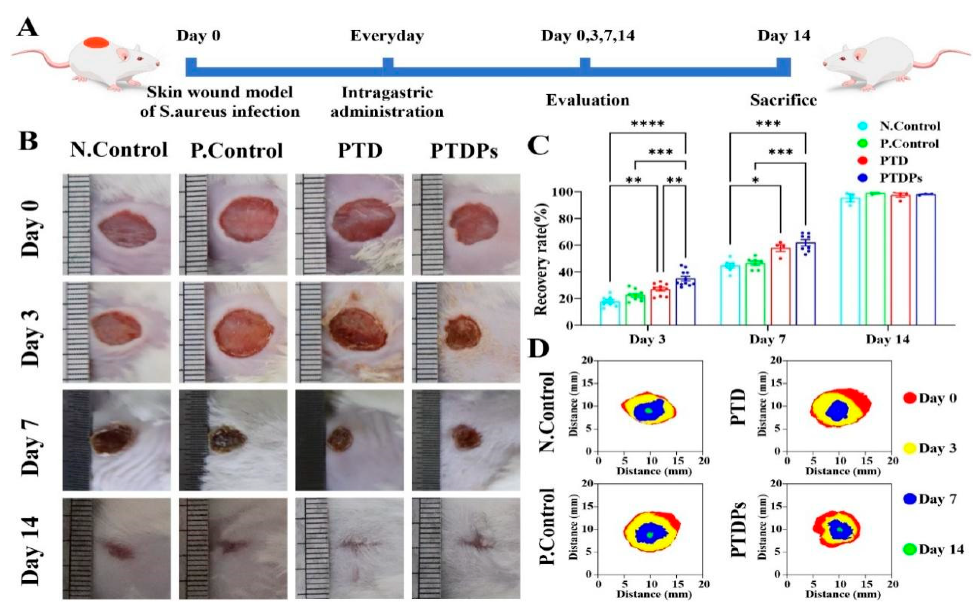 Antioxidants 14 00785 g005
