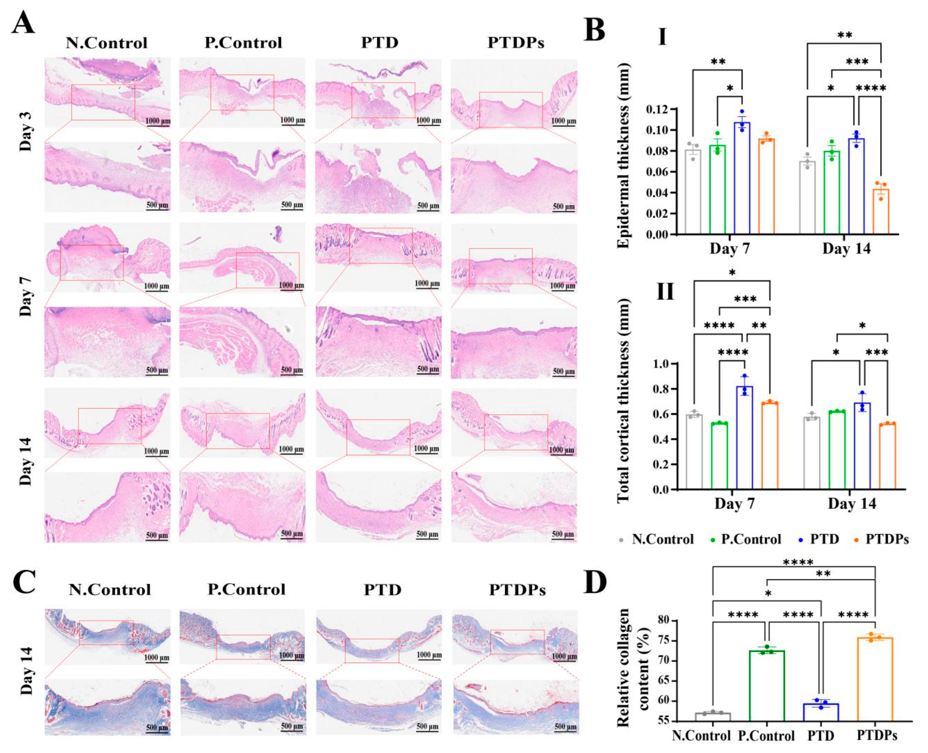 Antioxidants 14 00785 g006