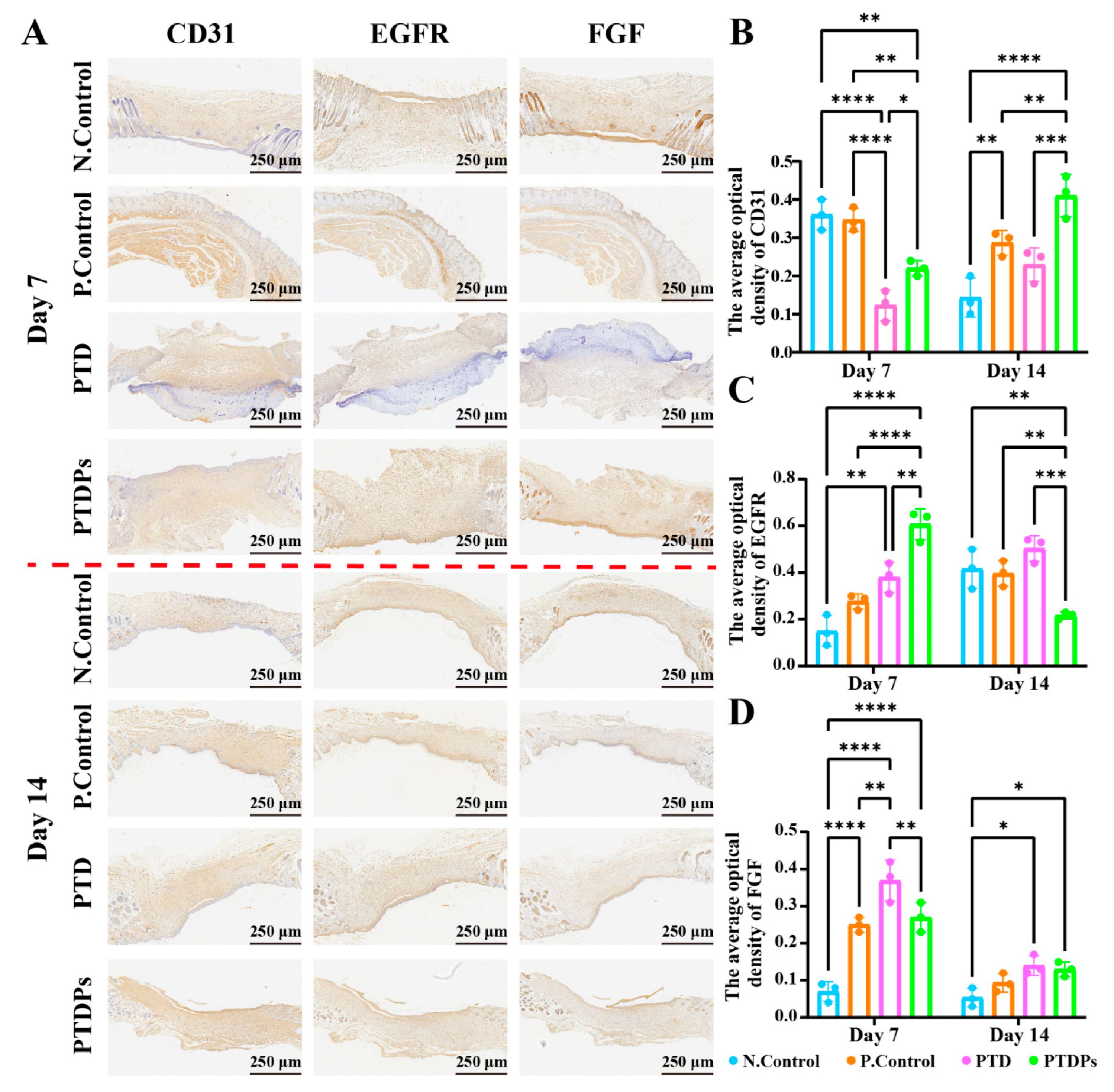 Antioxidants 14 00785 g007