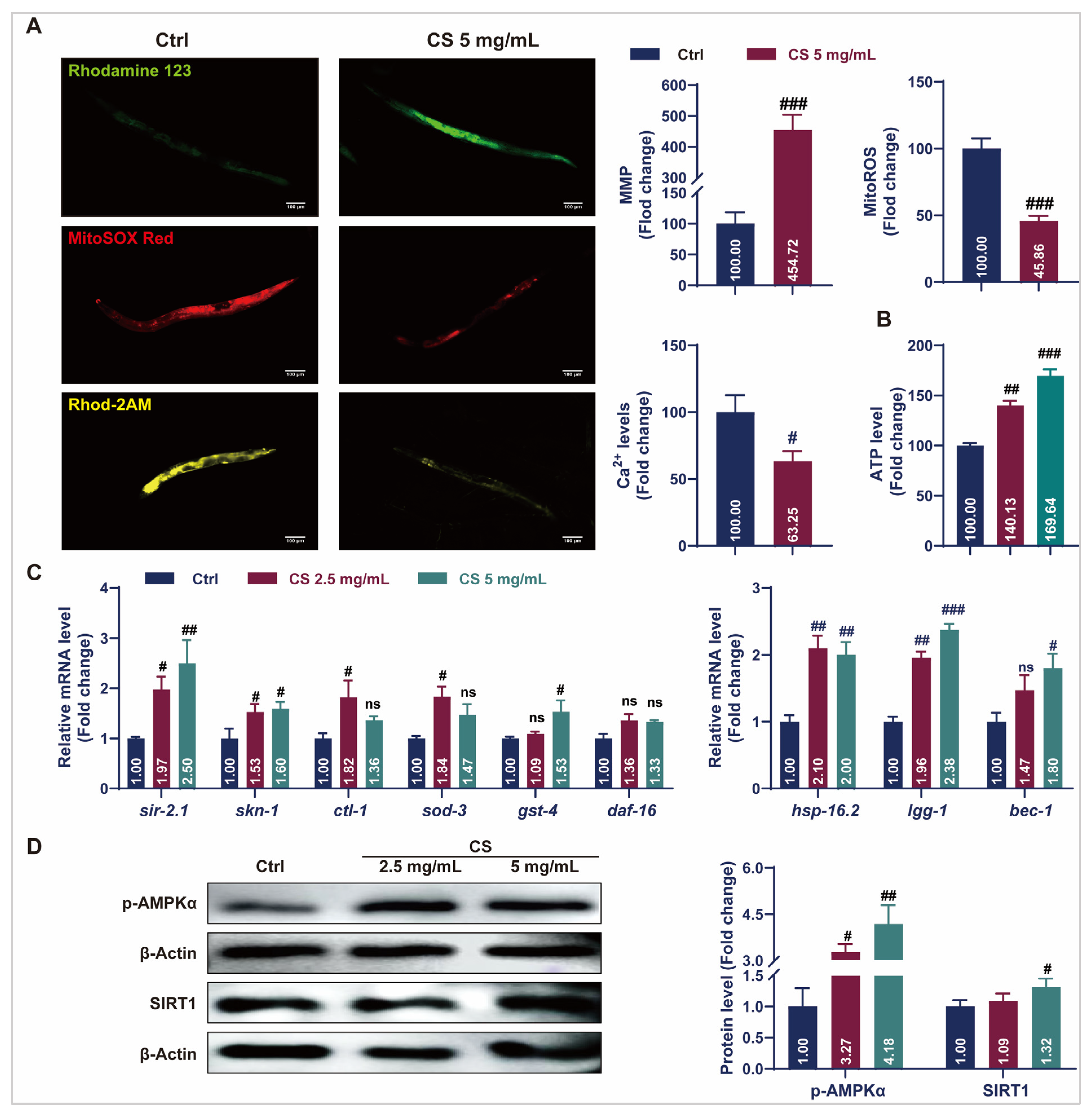 Antioxidants 14 00786 g003