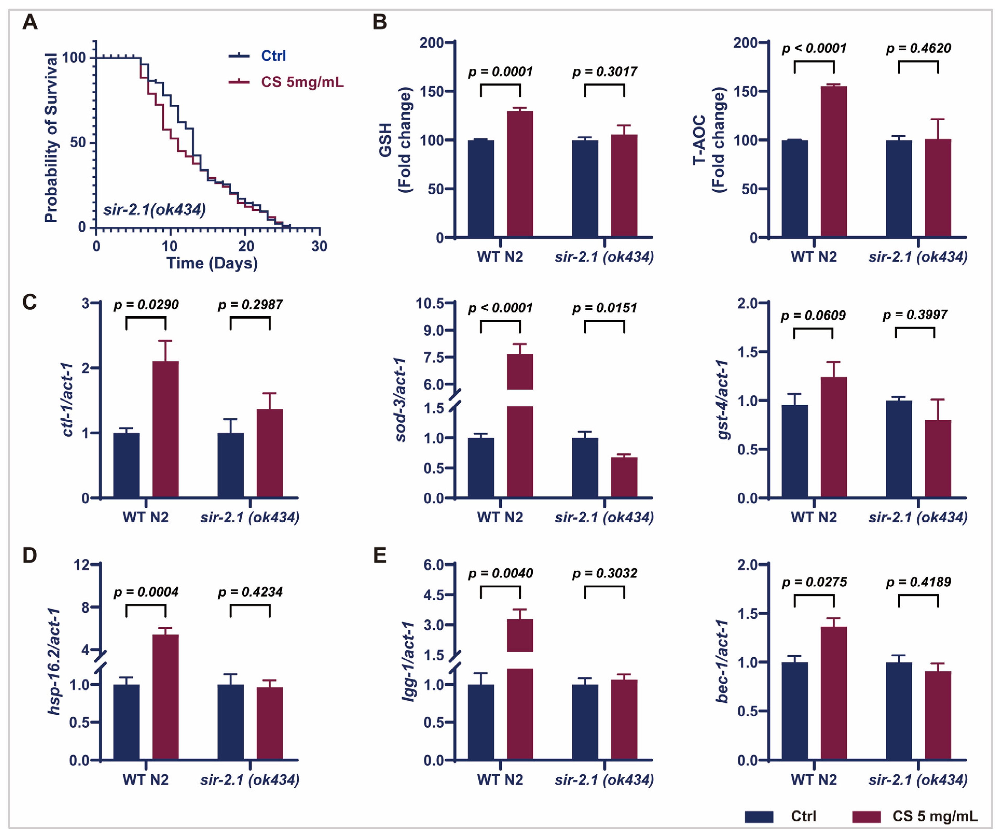 Antioxidants 14 00786 g004