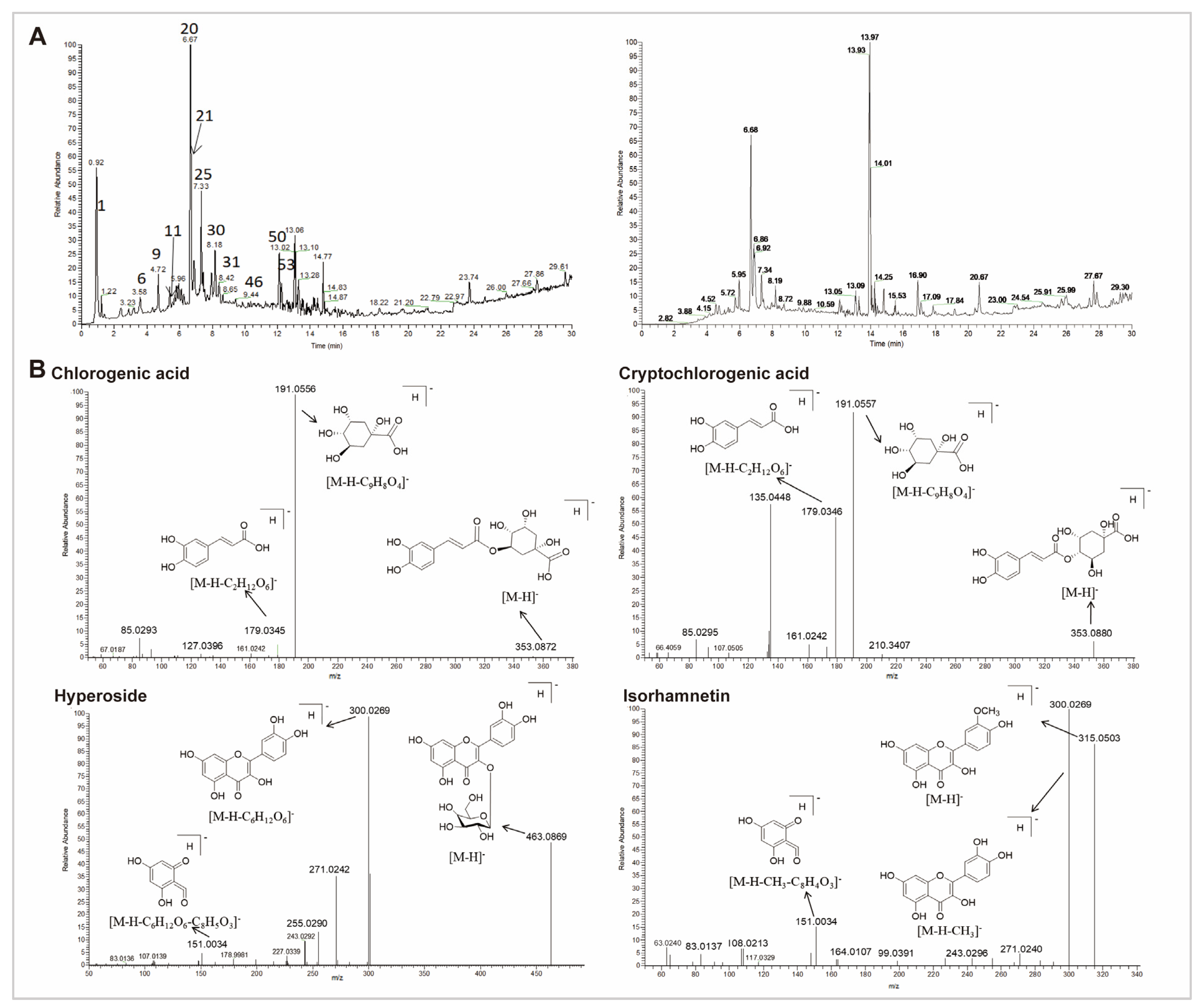 Antioxidants 14 00786 g005