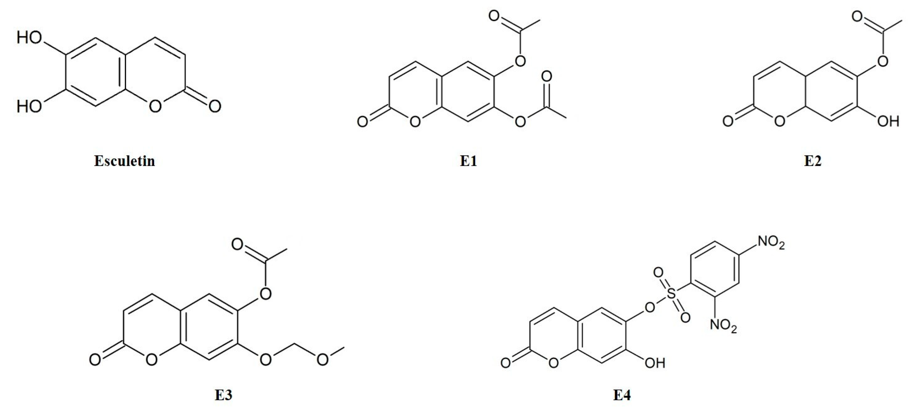 Antioxidants 14 00787 g001