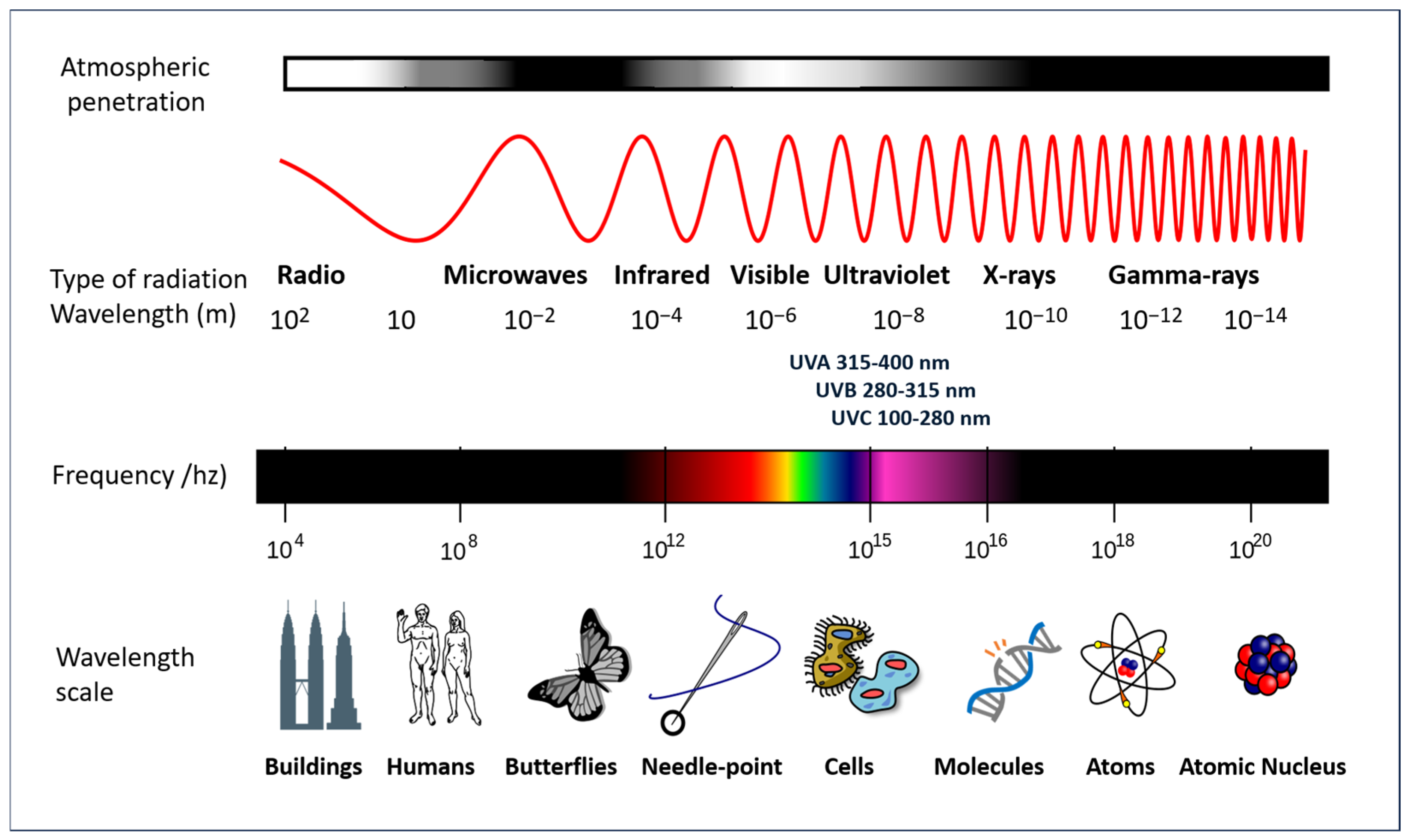 Antioxidants 14 00788 g004