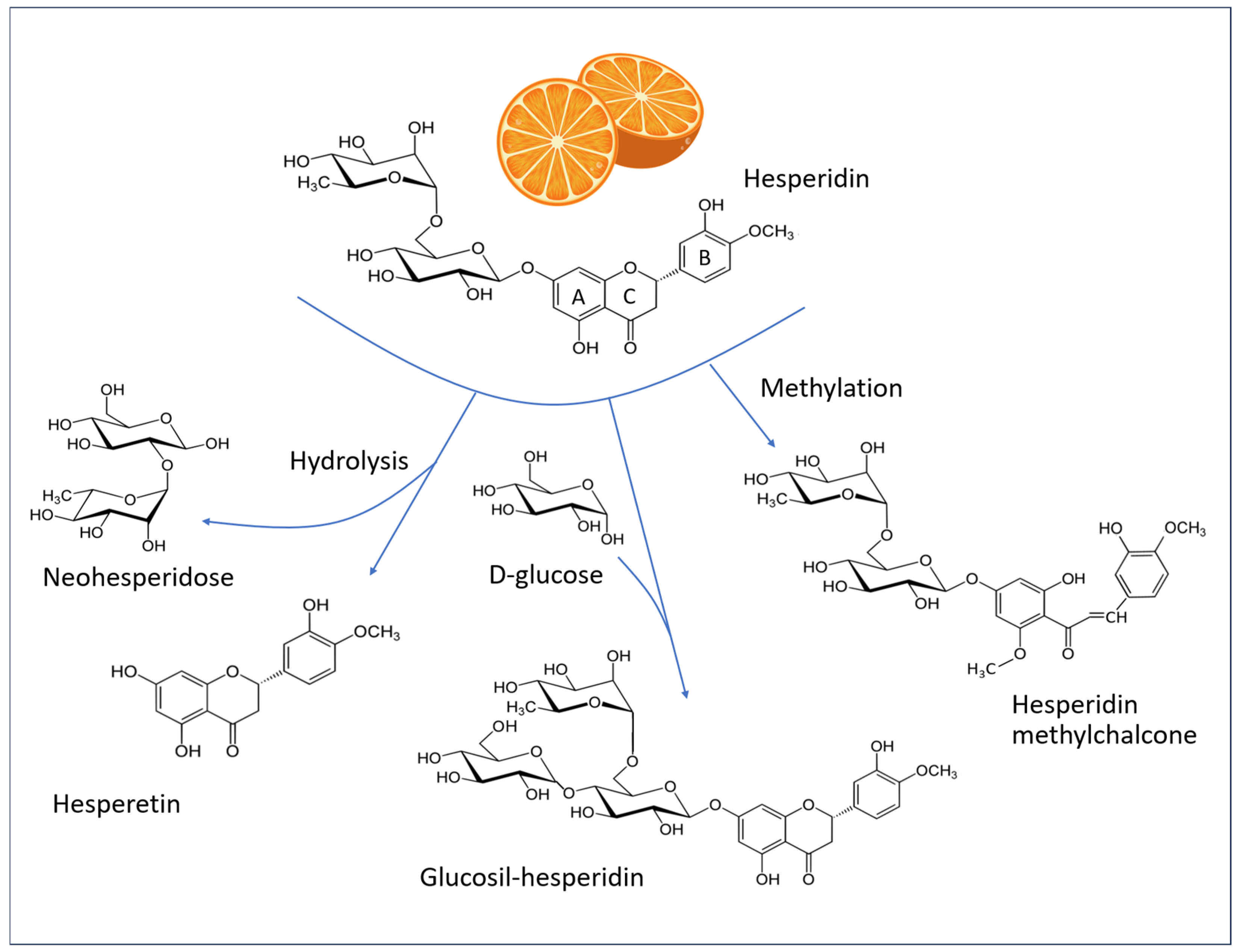 Antioxidants 14 00788 g007