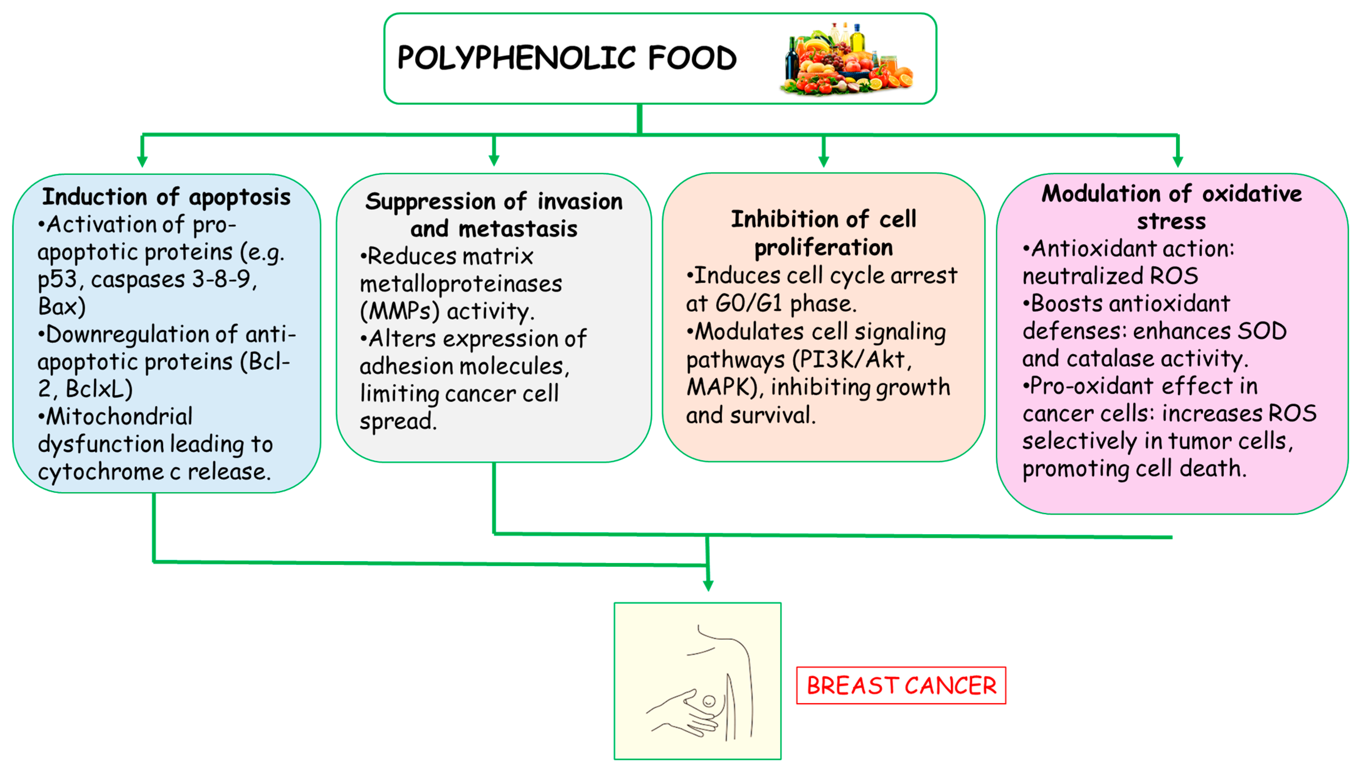 Antioxidants 14 00789 g002 Antioxidants 14 00789 g002