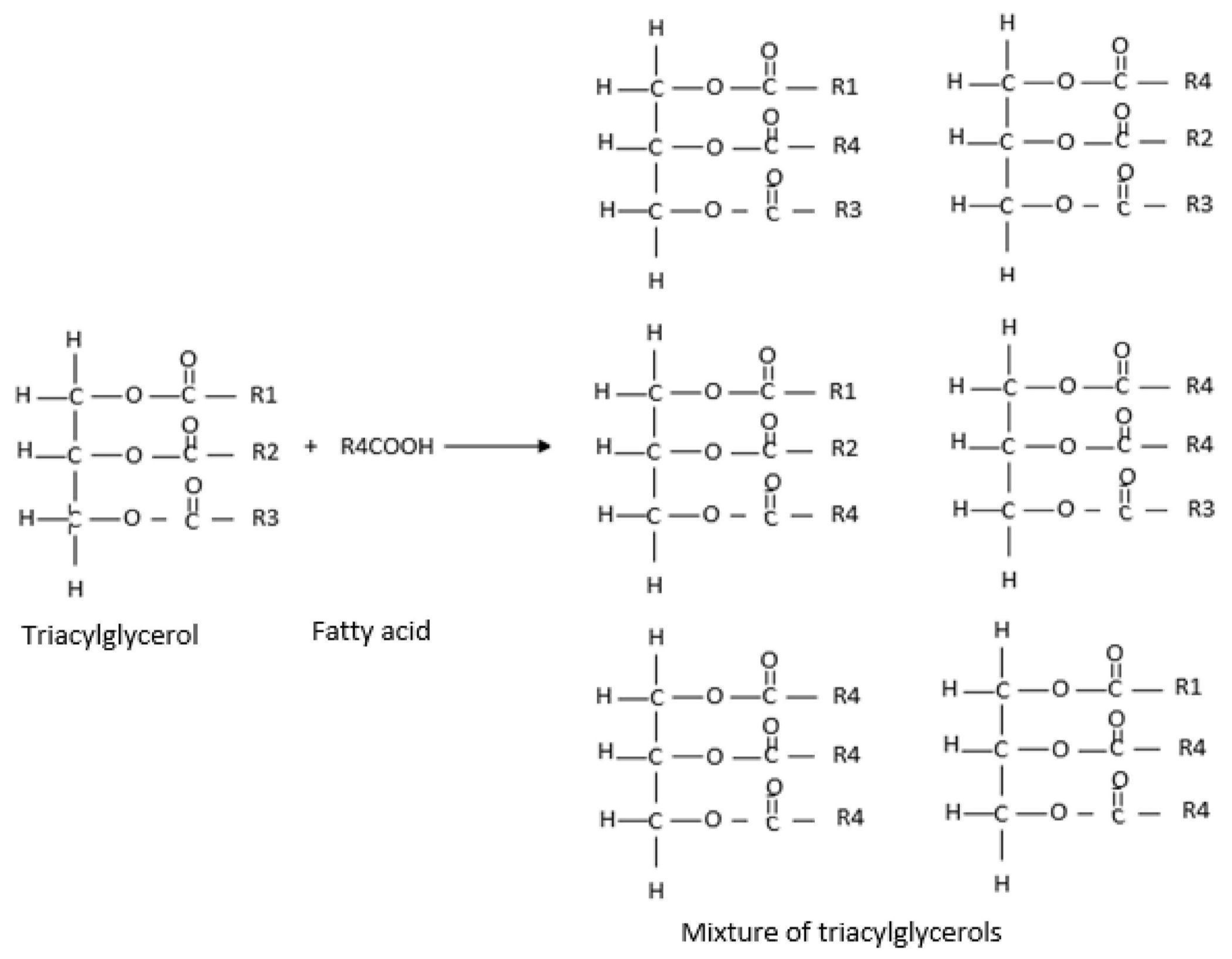 Antioxidants 14 00790 g001