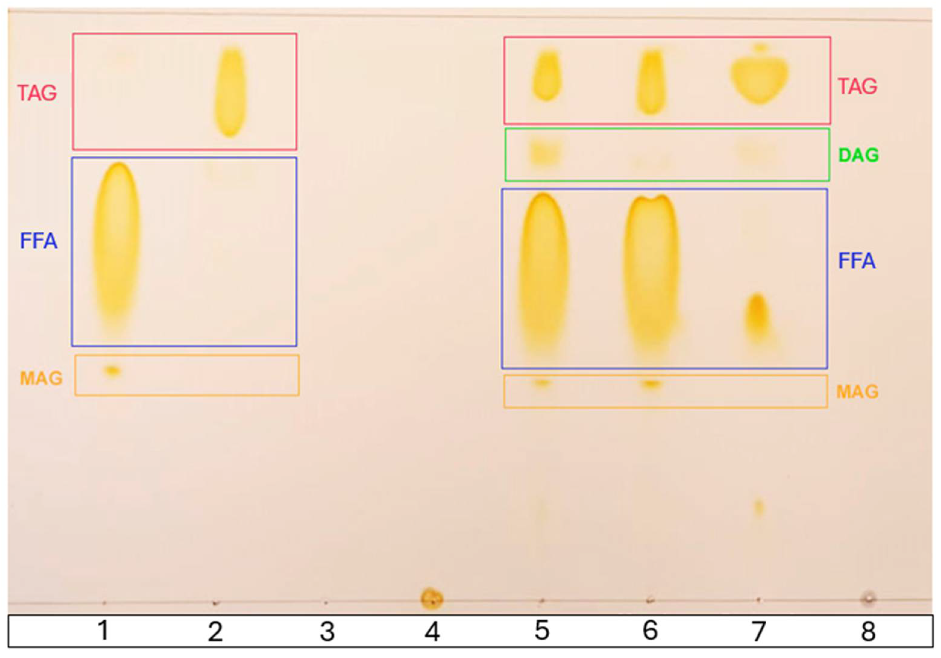Antioxidants 14 00790 g004