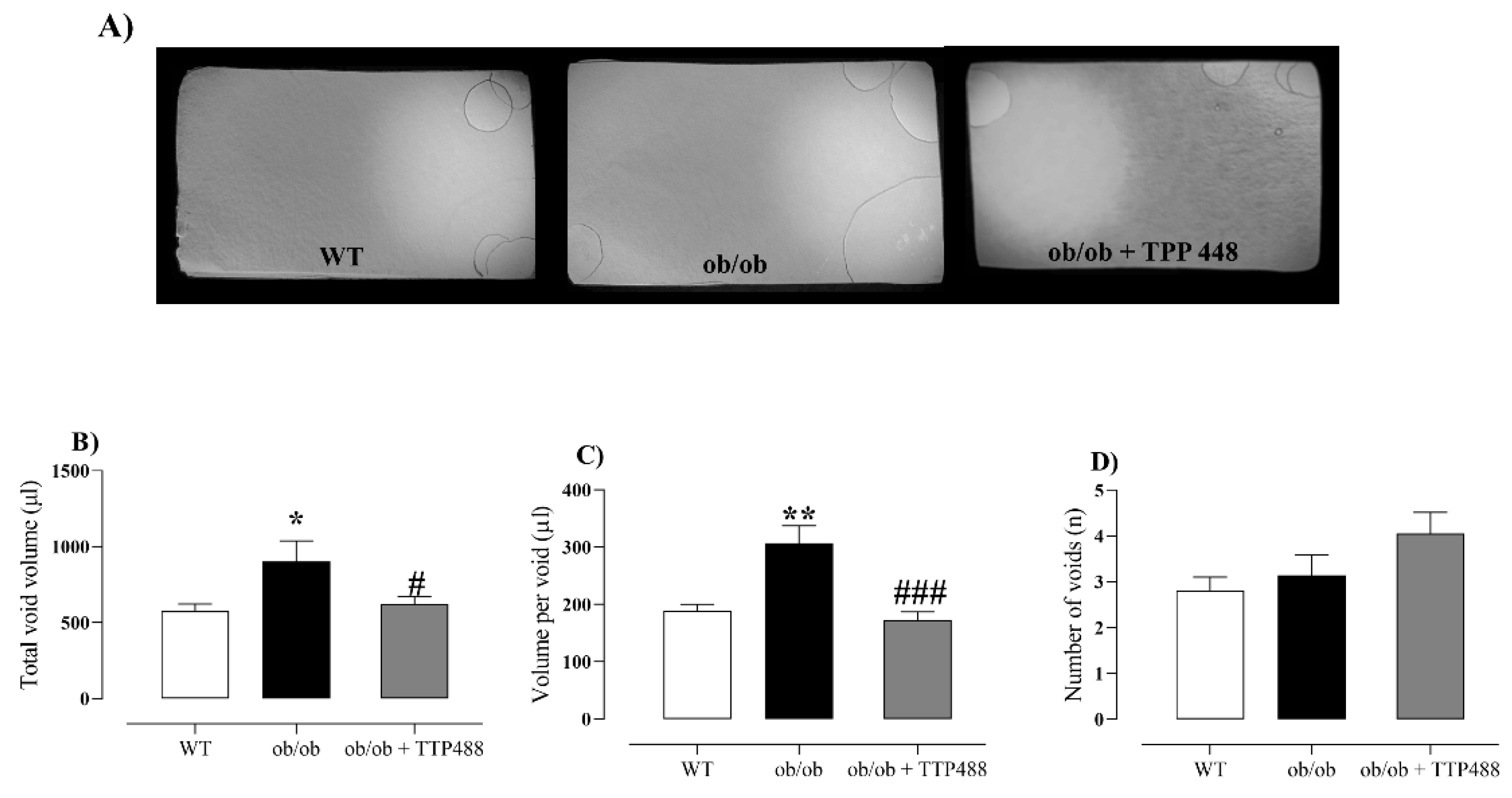 Antioxidants 14 00793 g006