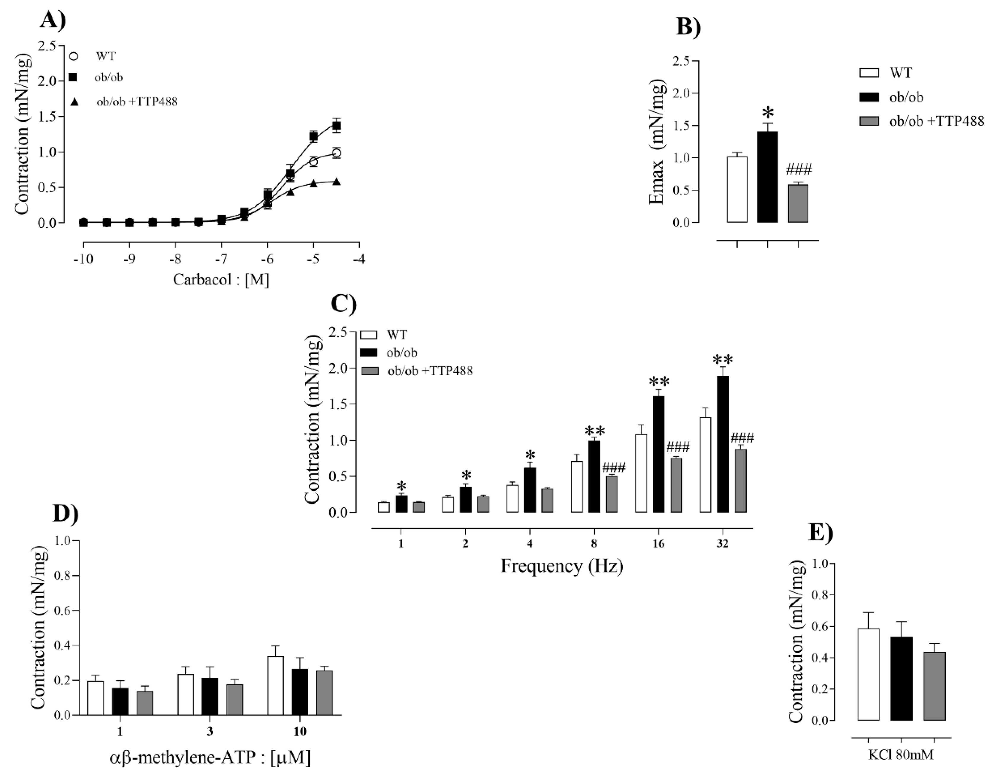 Antioxidants 14 00793 g007
