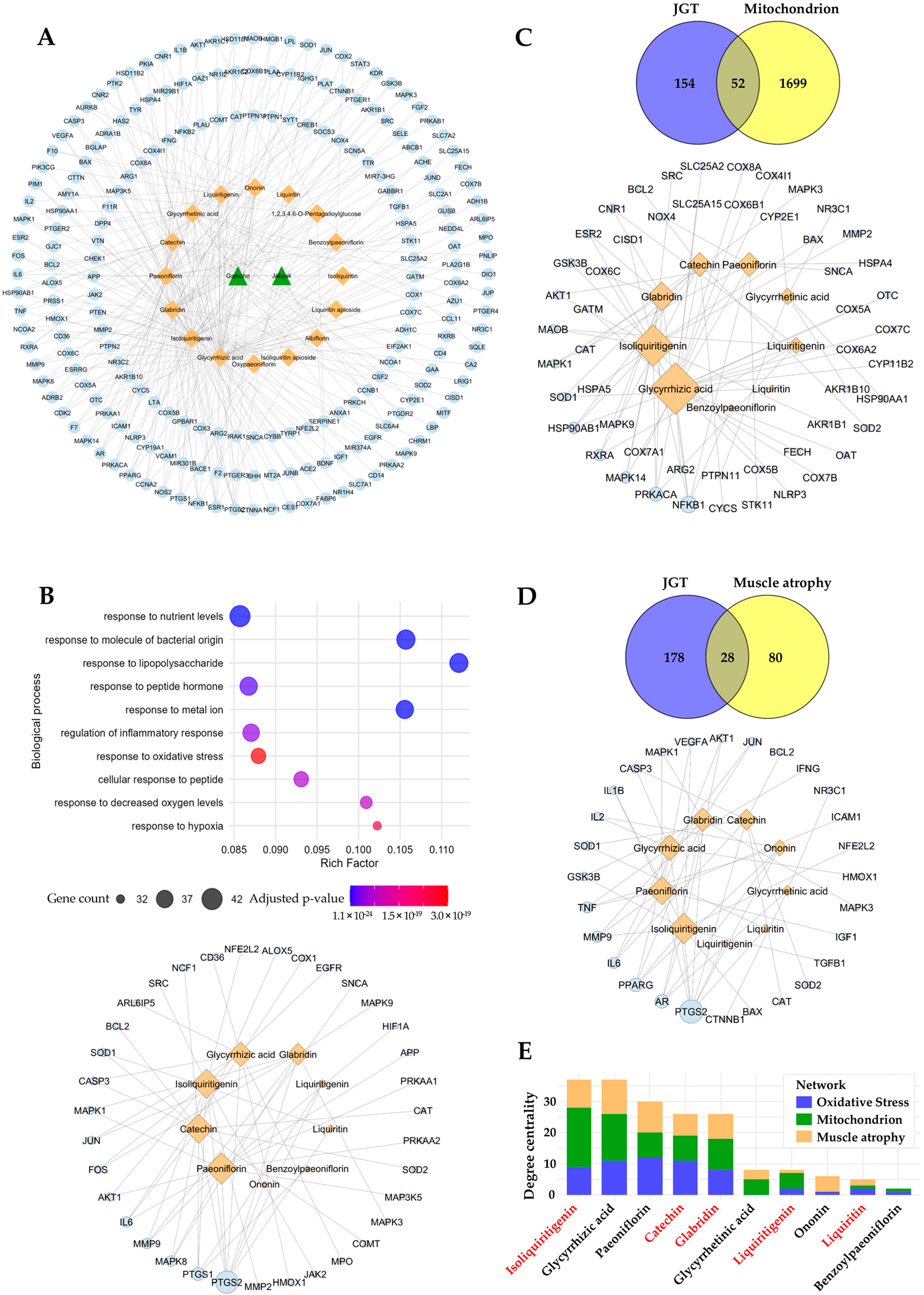 Antioxidants 14 00795 g005