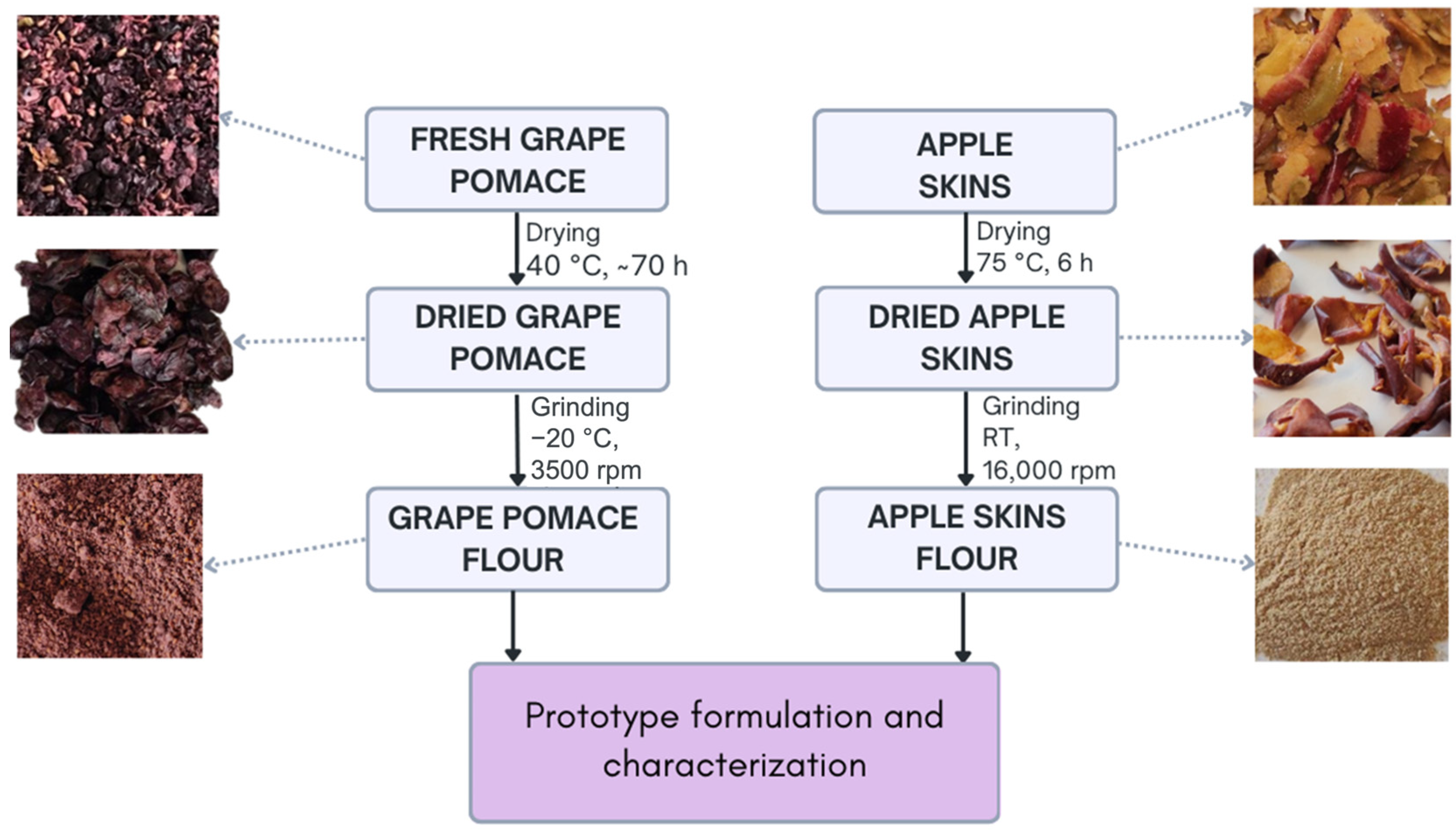Antioxidants 14 00798 g001