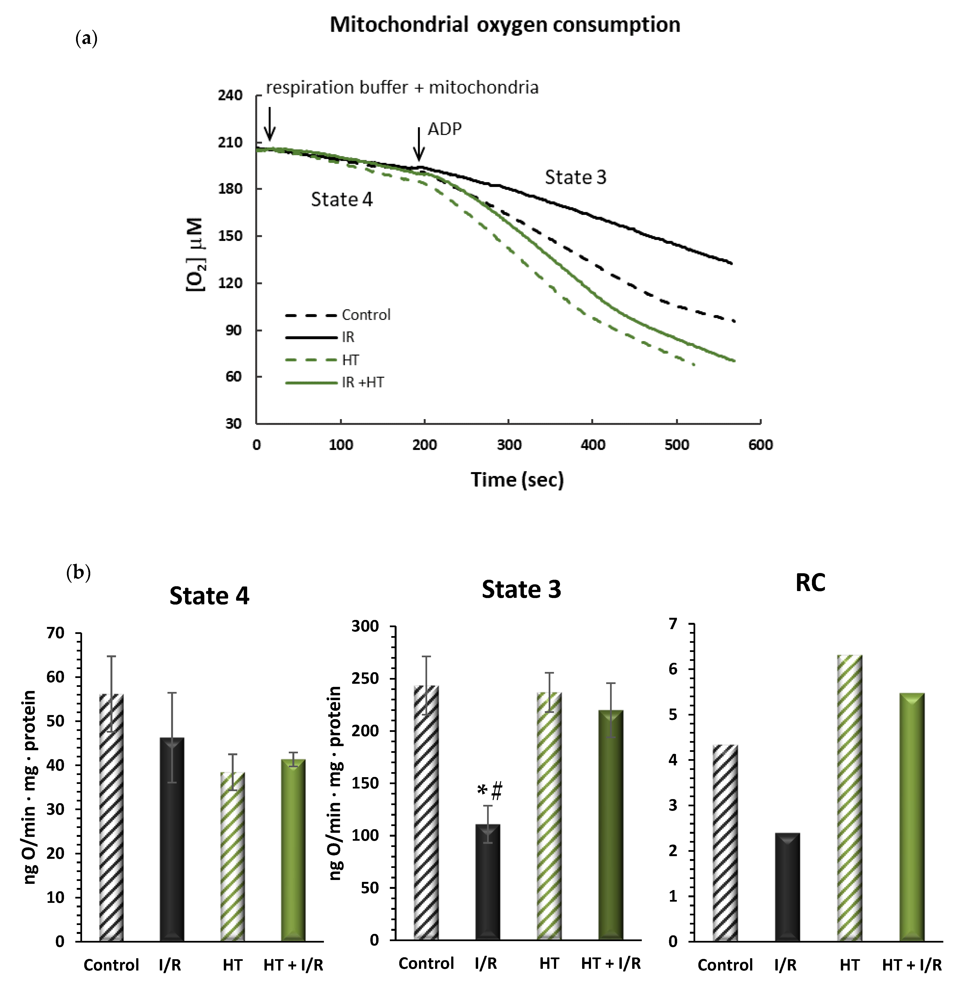 Antioxidants 14 00803 g003