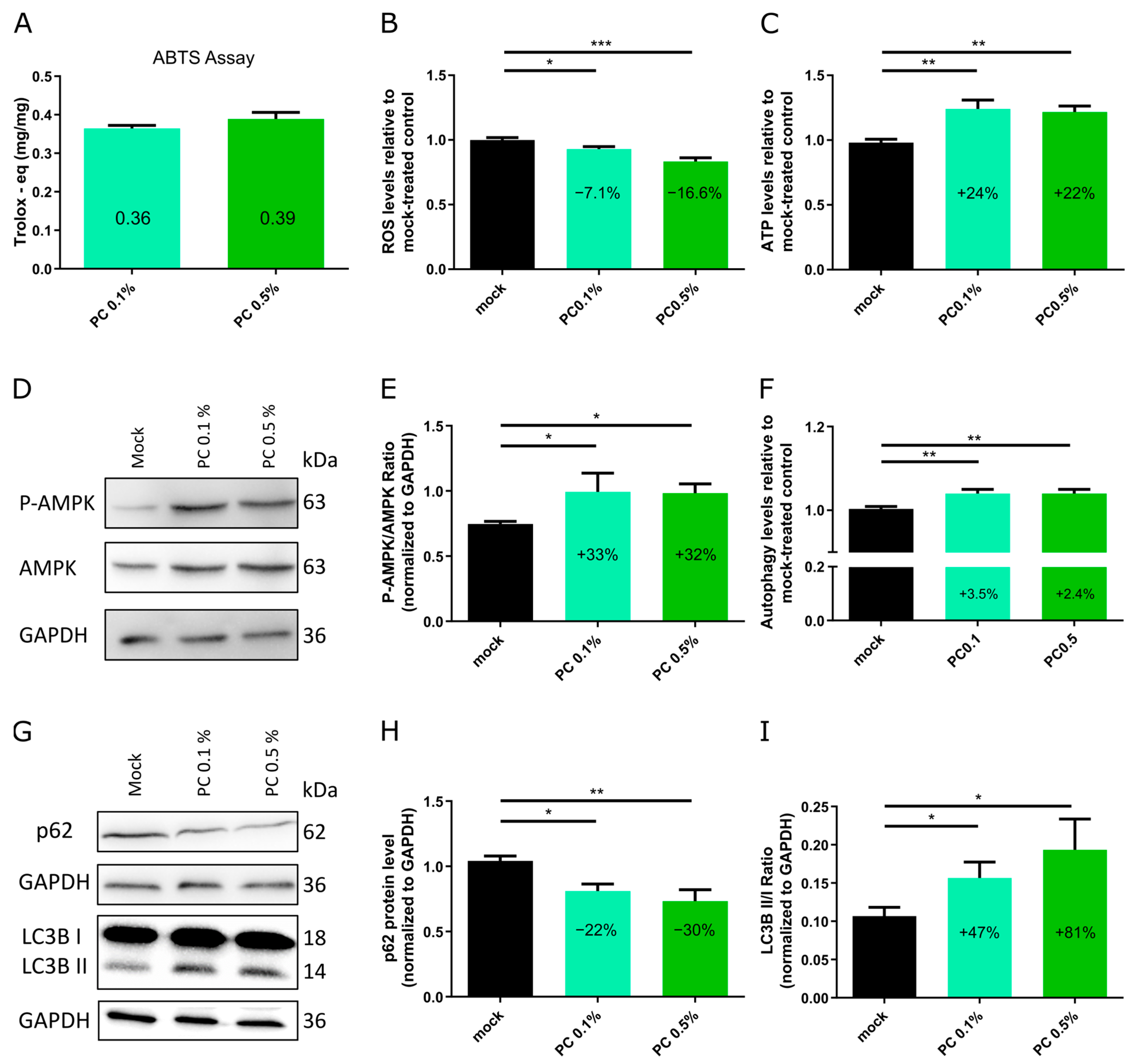 Antioxidants 14 00804 g002