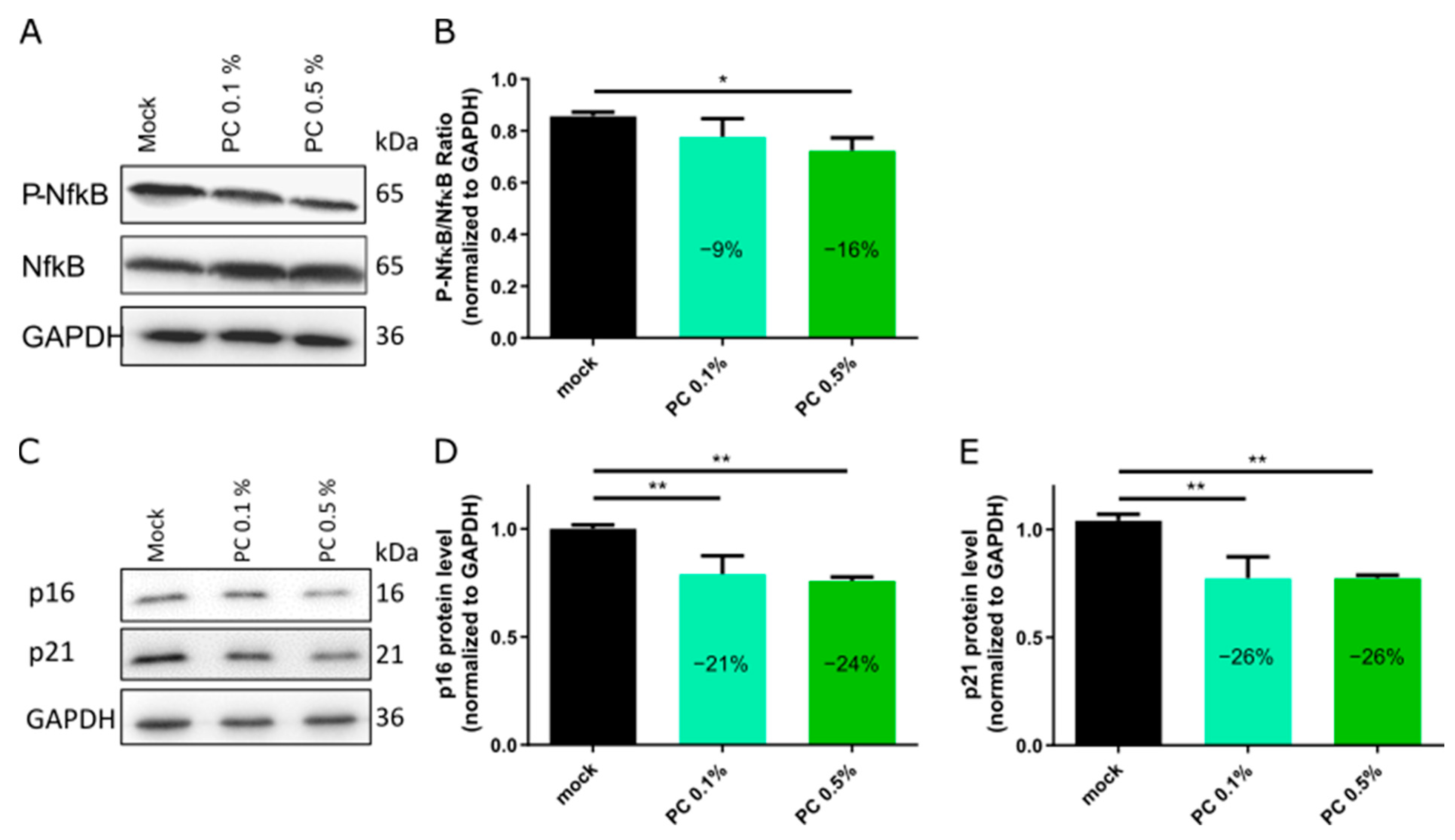 Antioxidants 14 00804 g003