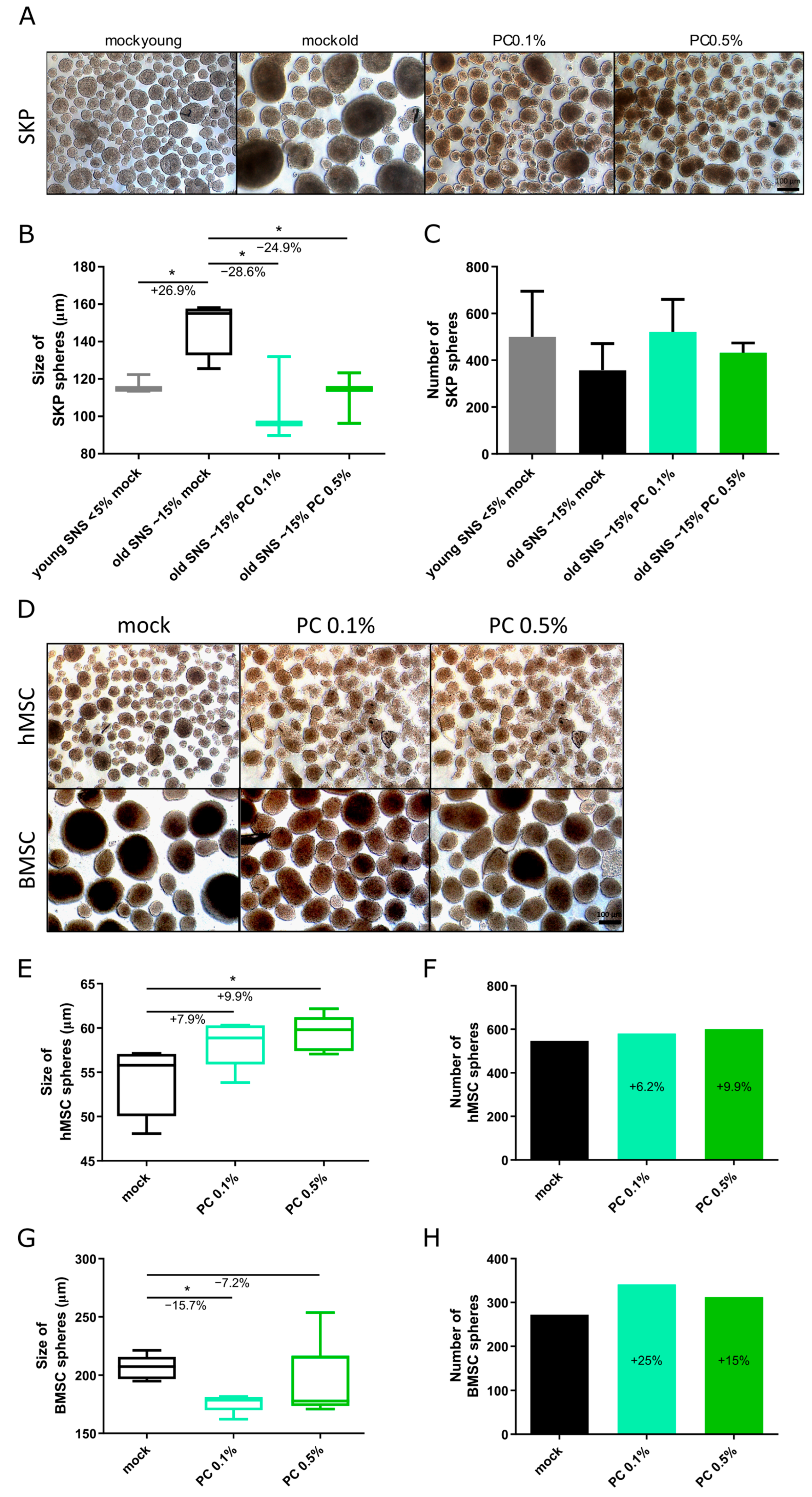 Antioxidants 14 00804 g004