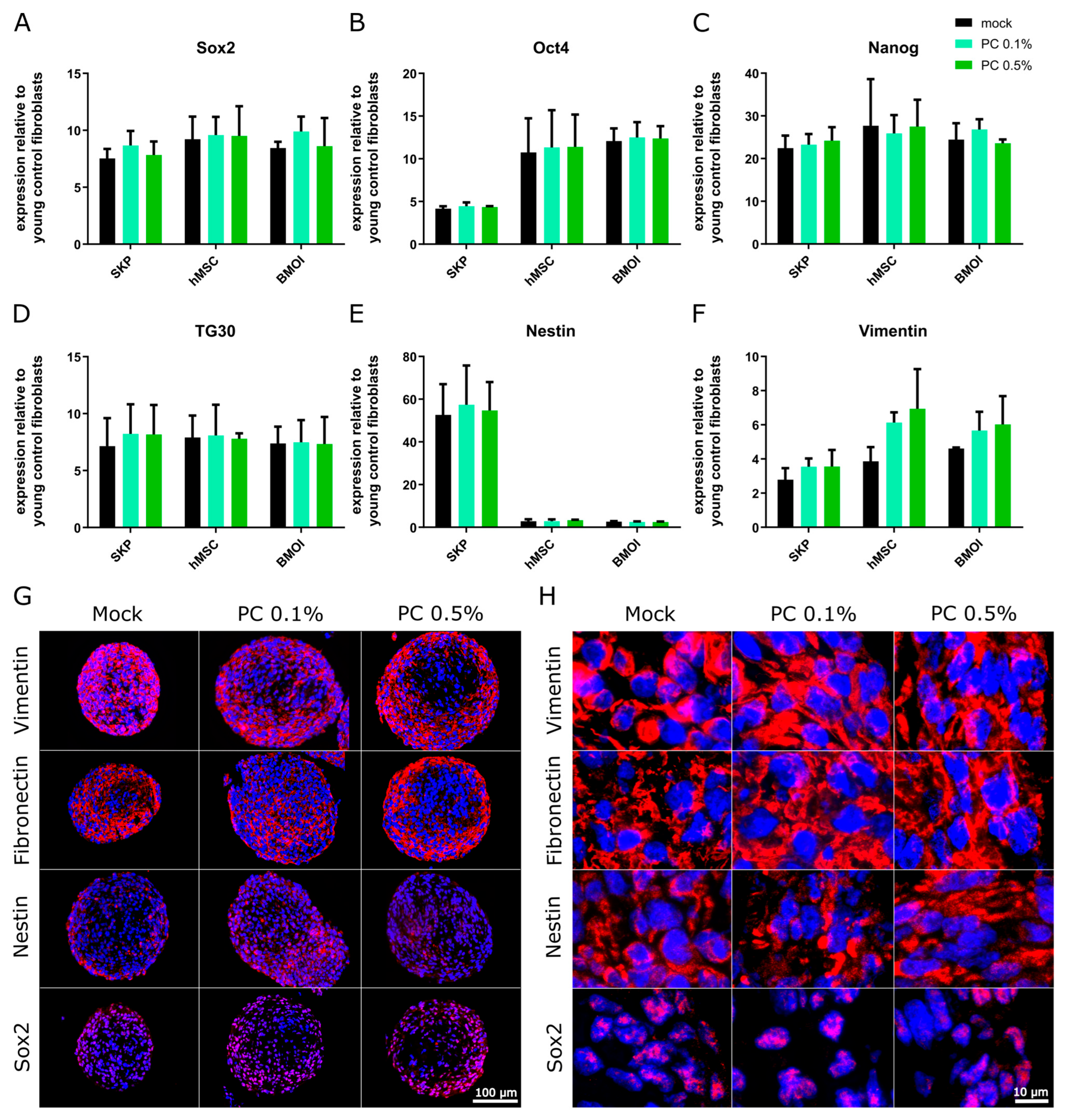 Antioxidants 14 00804 g005
