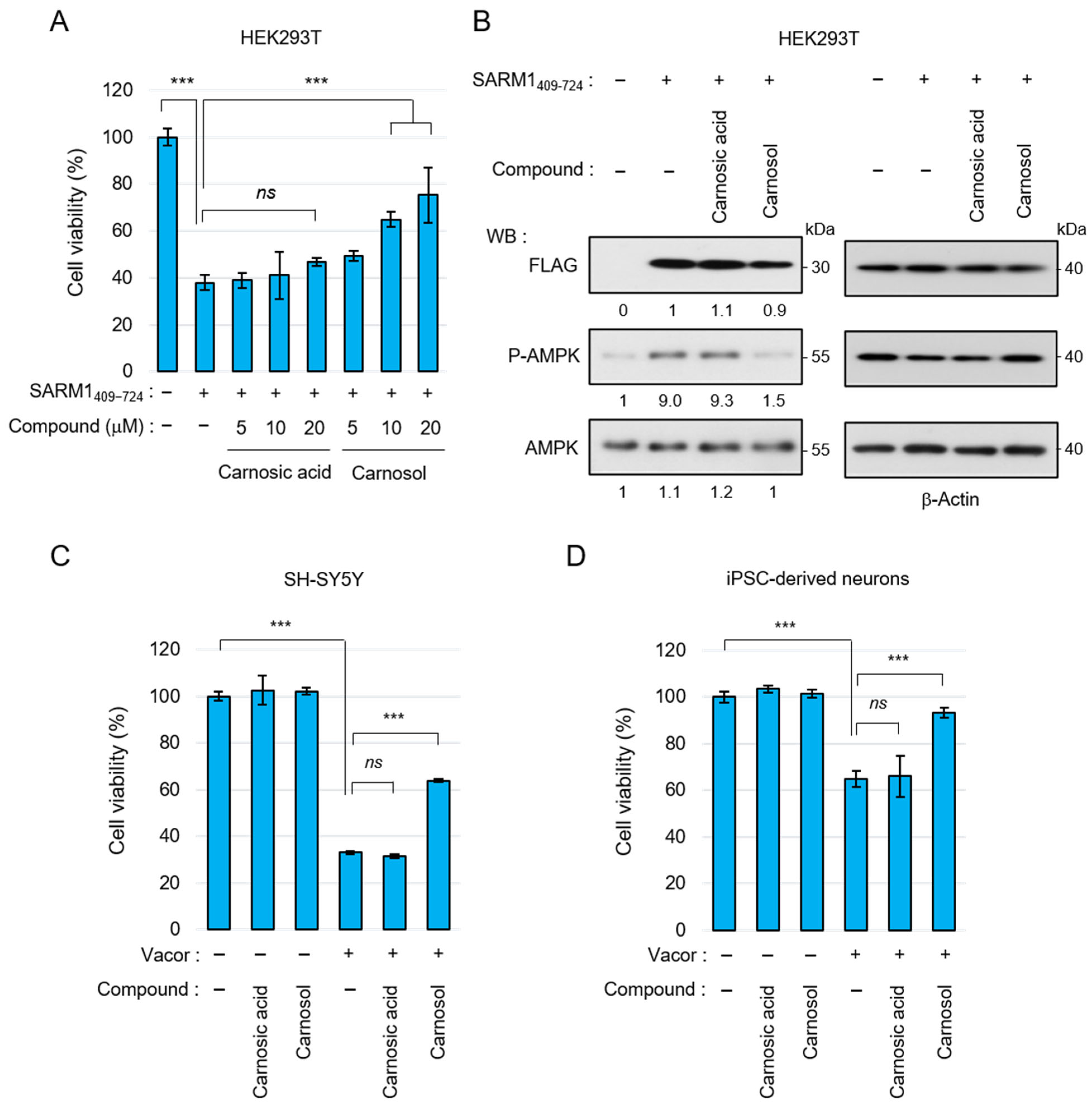 Antioxidants 14 00808 g003