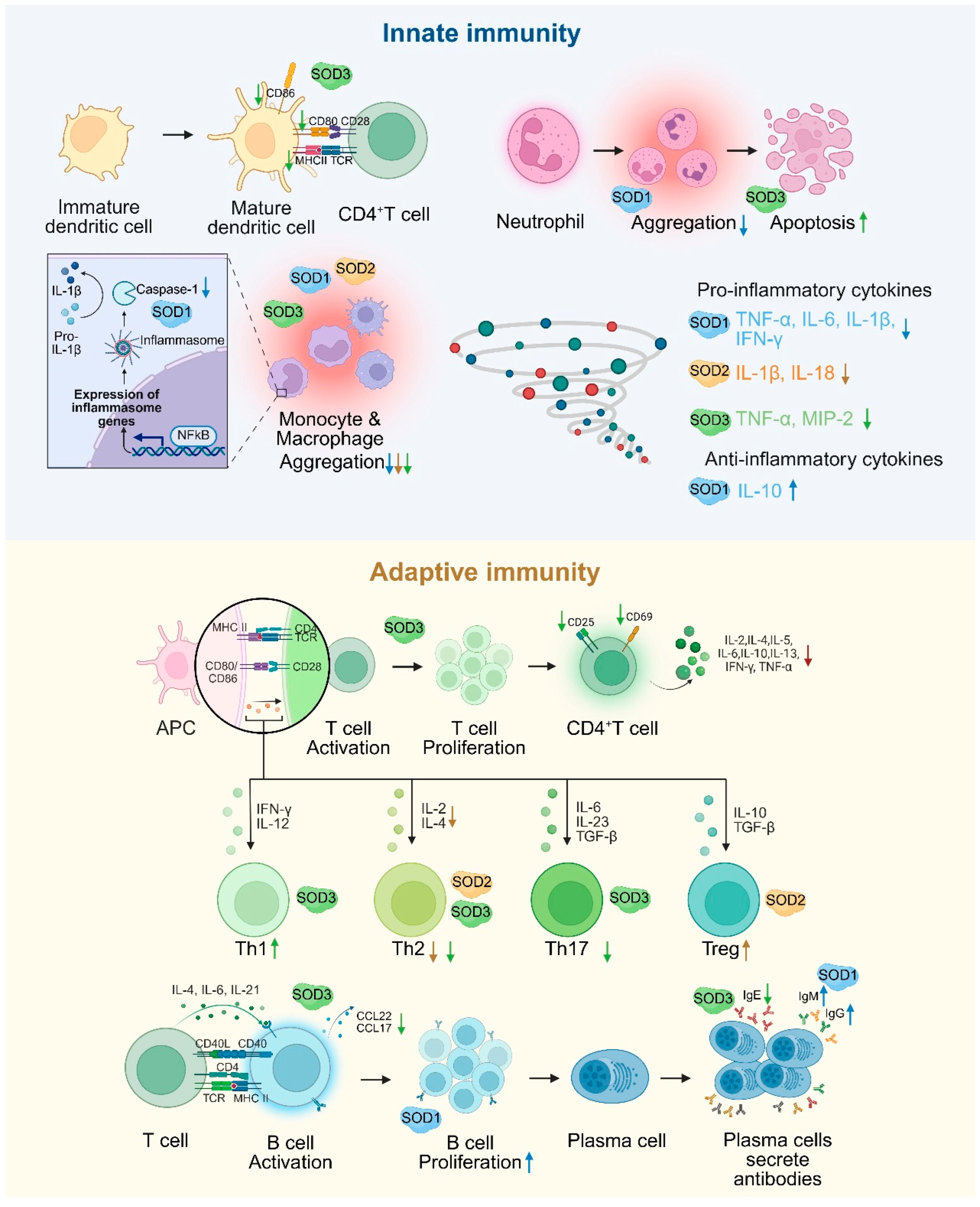 Antioxidants 14 00809 g002