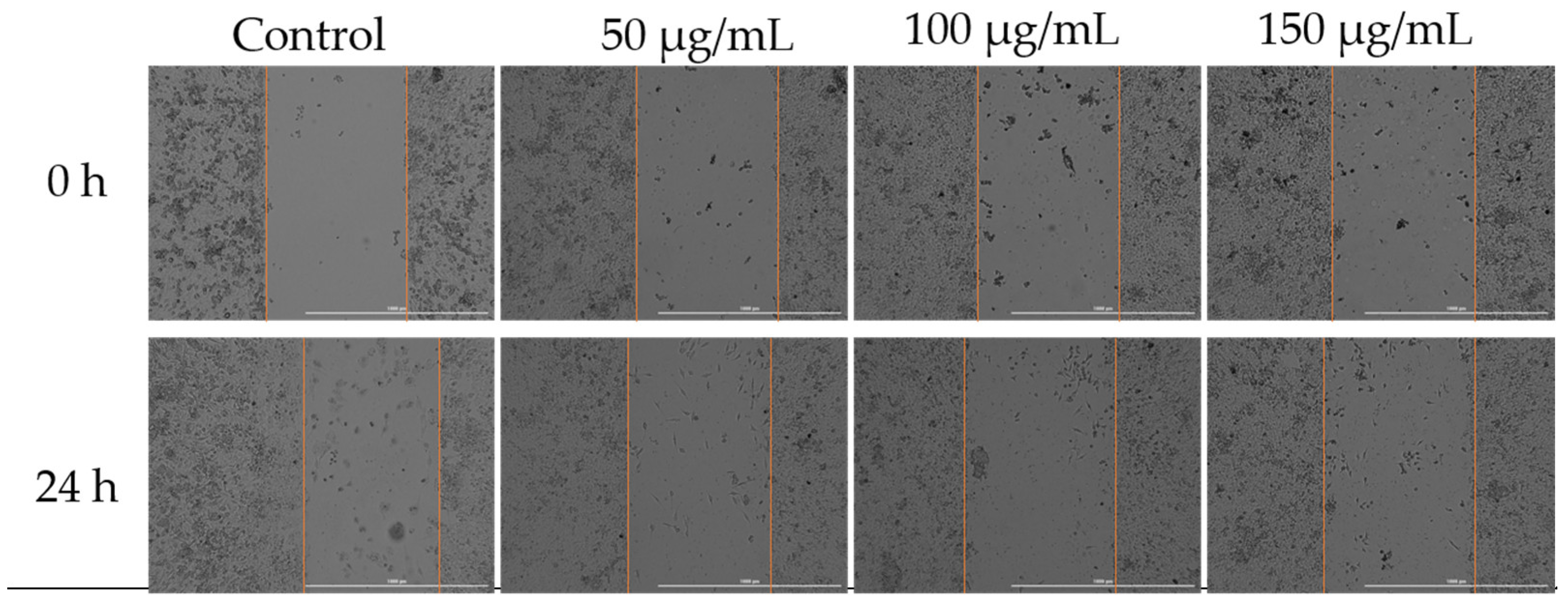 Antioxidants 14 00810 g007