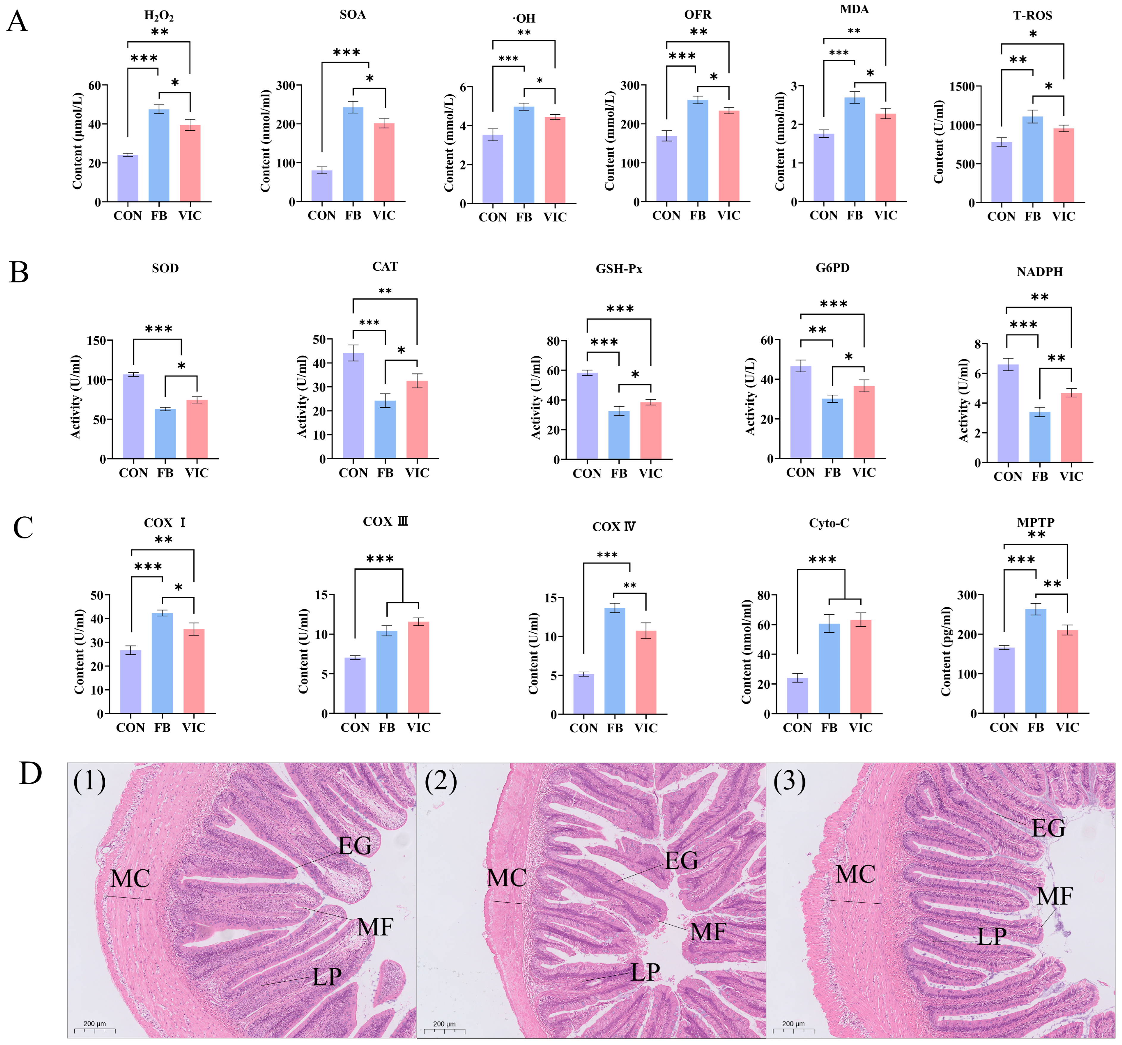 Antioxidants 14 00813 g004