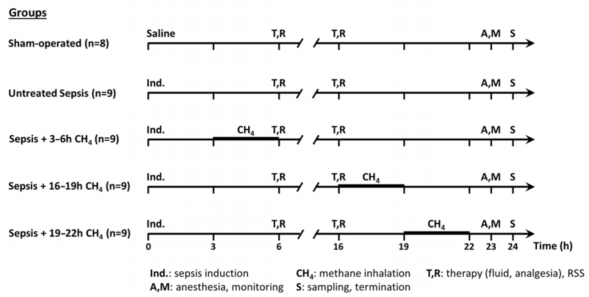 Antioxidants 14 00814 g001