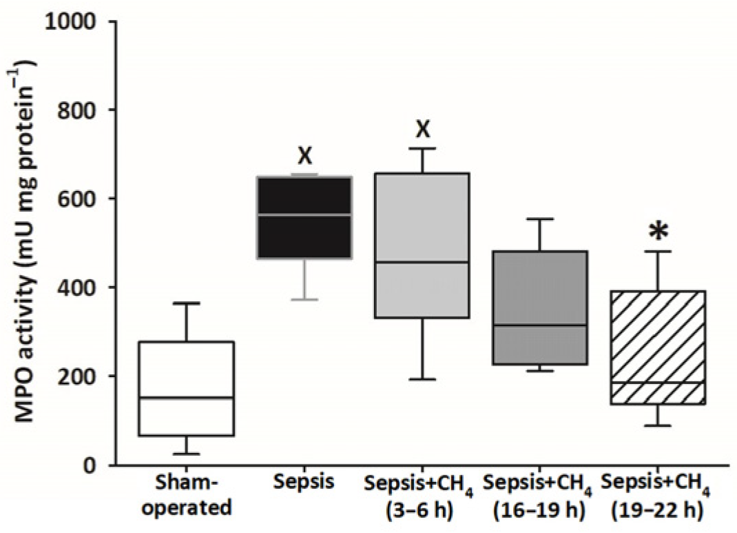 Antioxidants 14 00814 g006