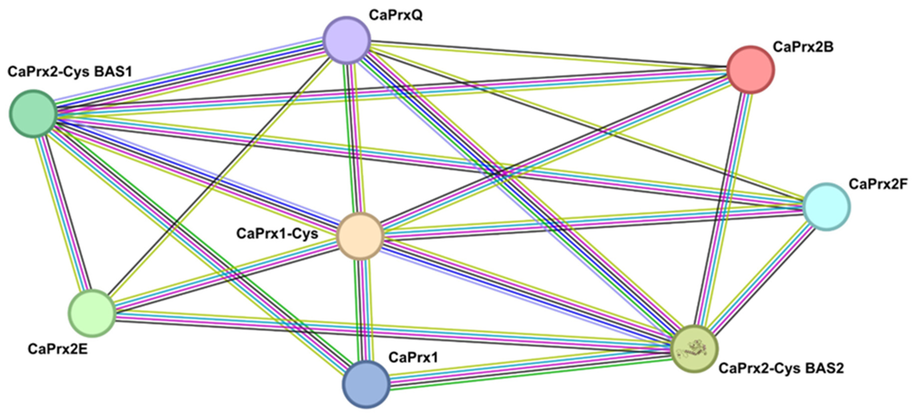 Antioxidants 14 00817 g005